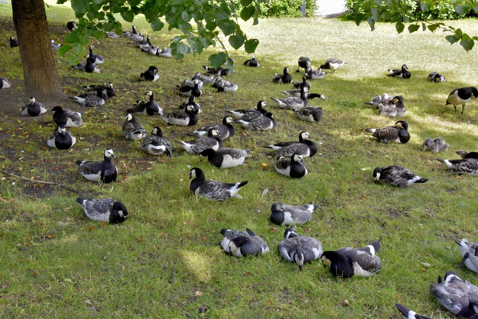 Valokuvaaja: Reijo Juurinen Valokuvaaja: Reijo Juurinen