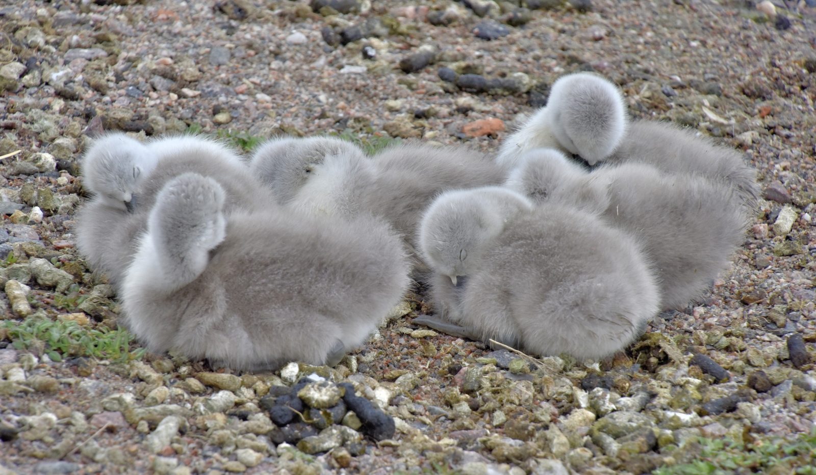 Valokuvaaja: Reijo Juurinen