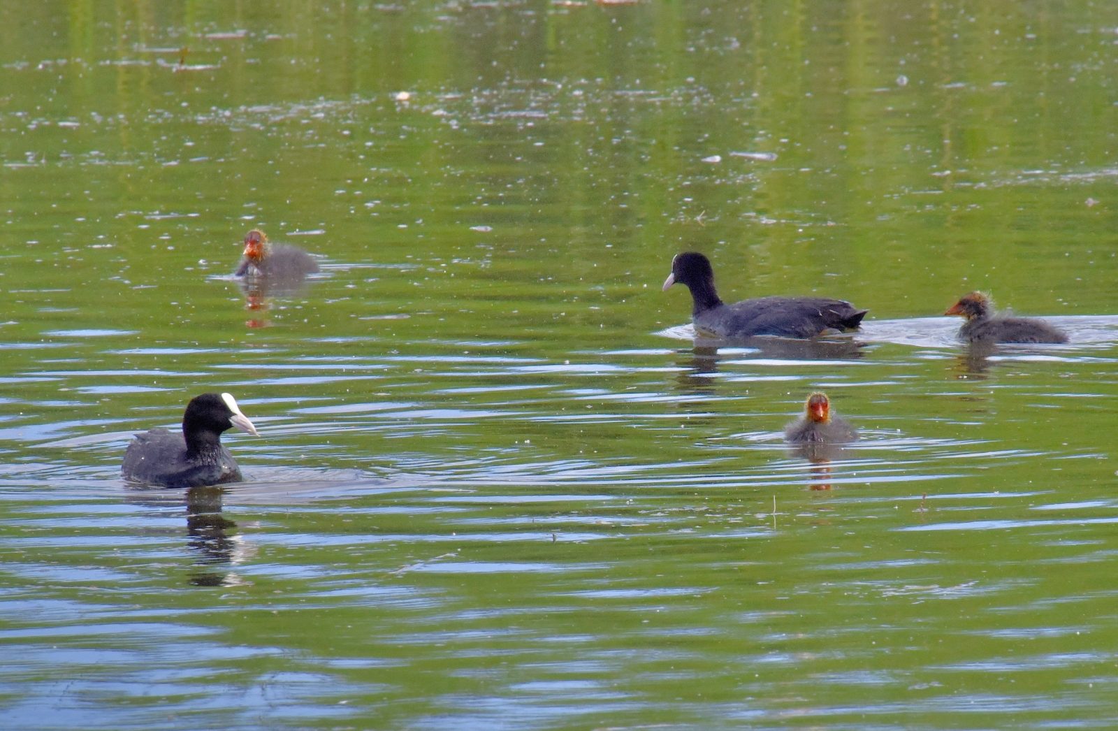 Valokuvaaja: Reijo Juurinen