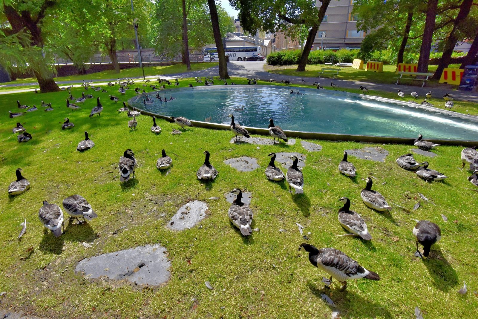 Valokuvaaja: Reijo Juurinen Valokuvaaja: Reijo Juurinen