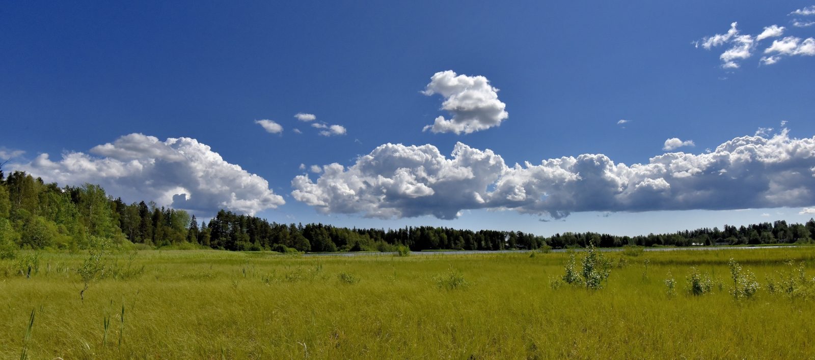 Valokuvaaja: Reijo Juurinen