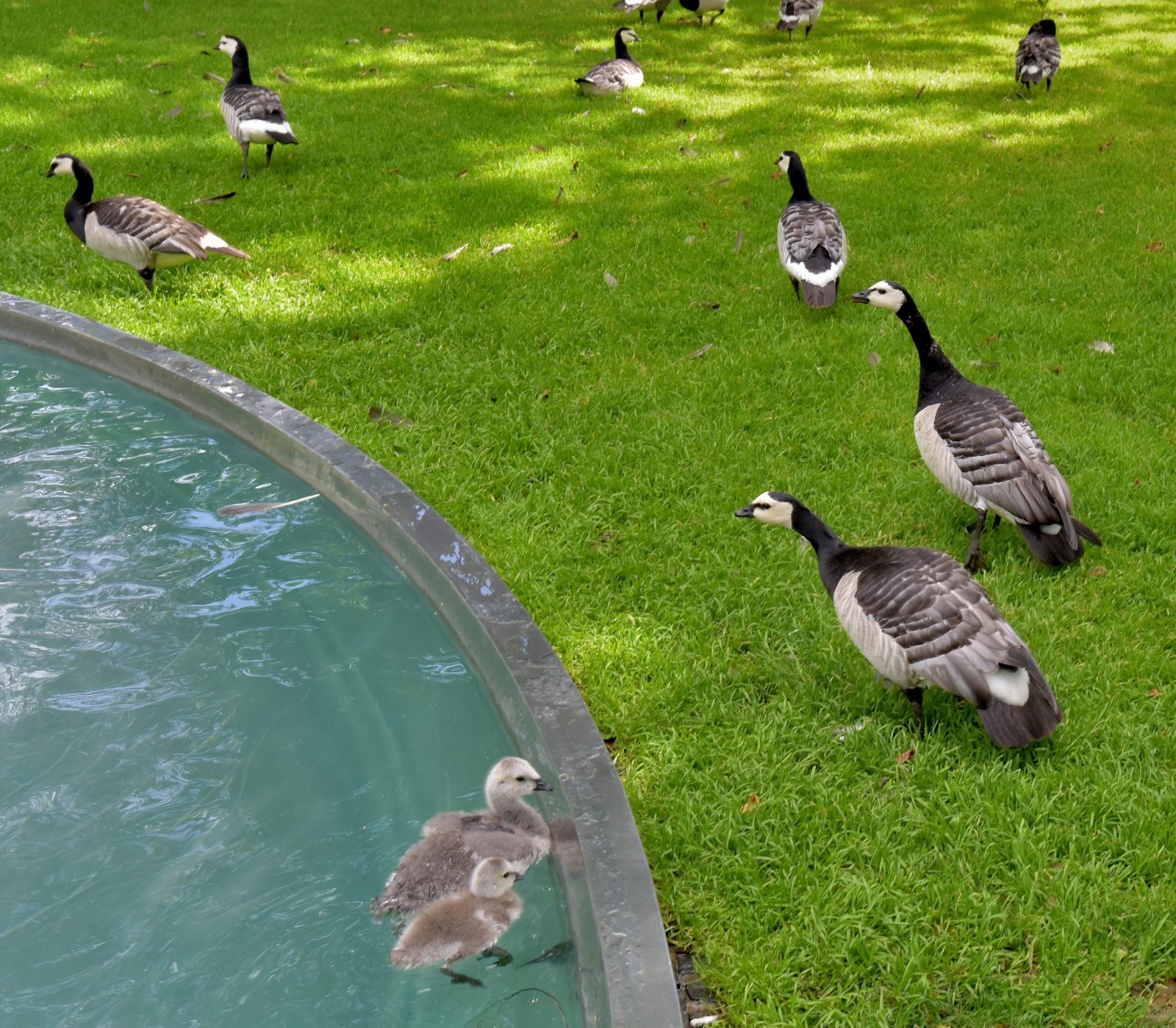 Valokuvaaja: Reijo Juurinen