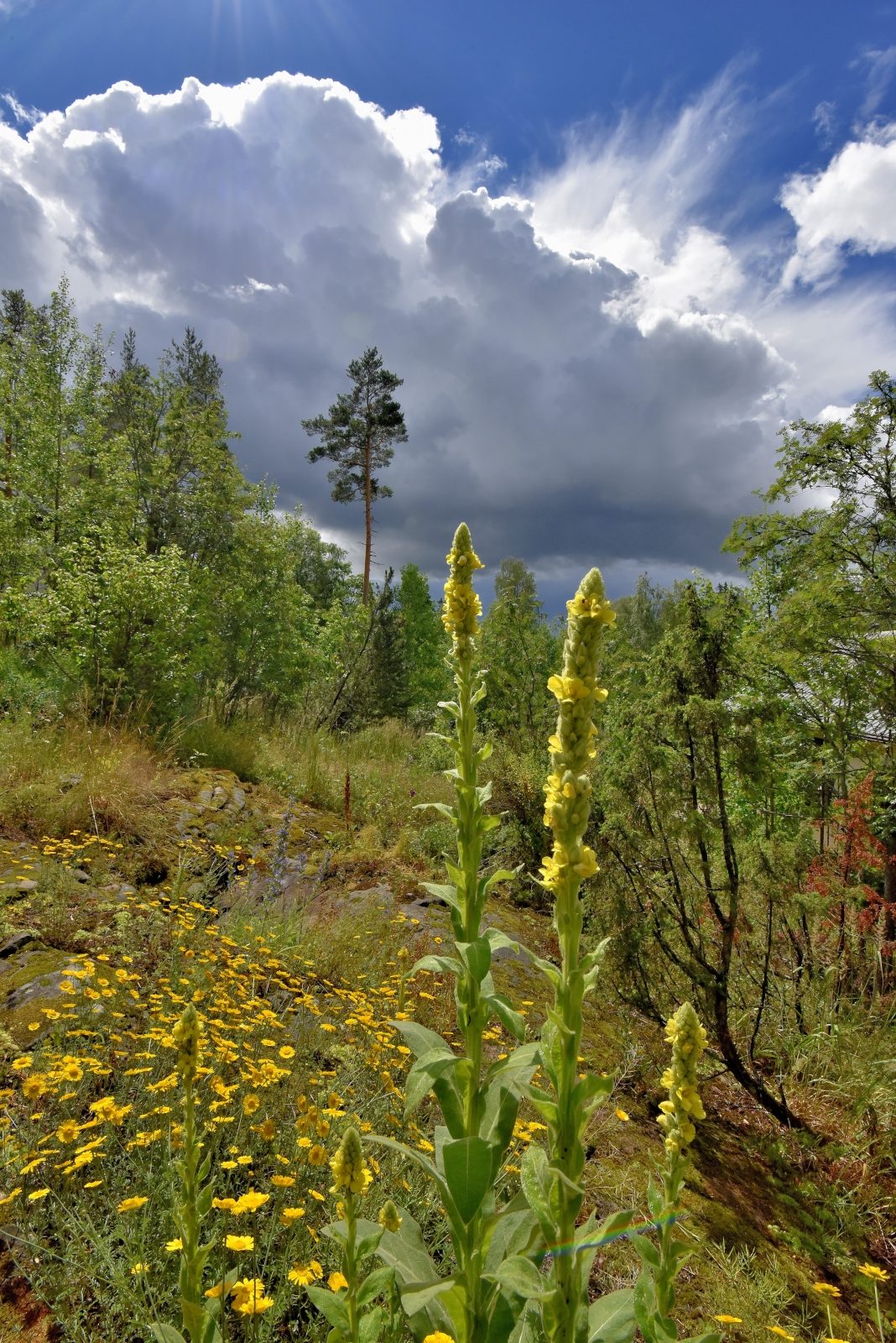 Valokuvaaja: Reijo Juurinen