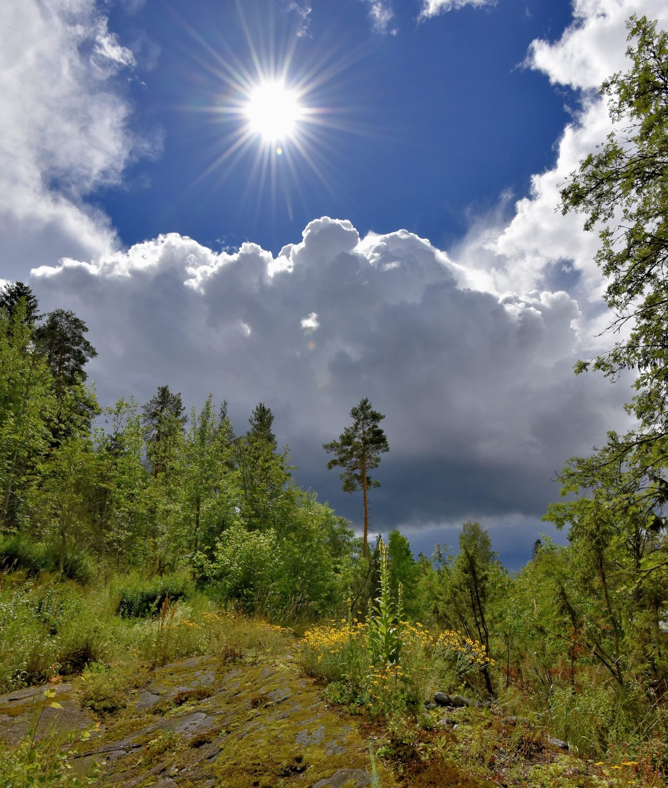 Valokuvaaja: Reijo Juurinen