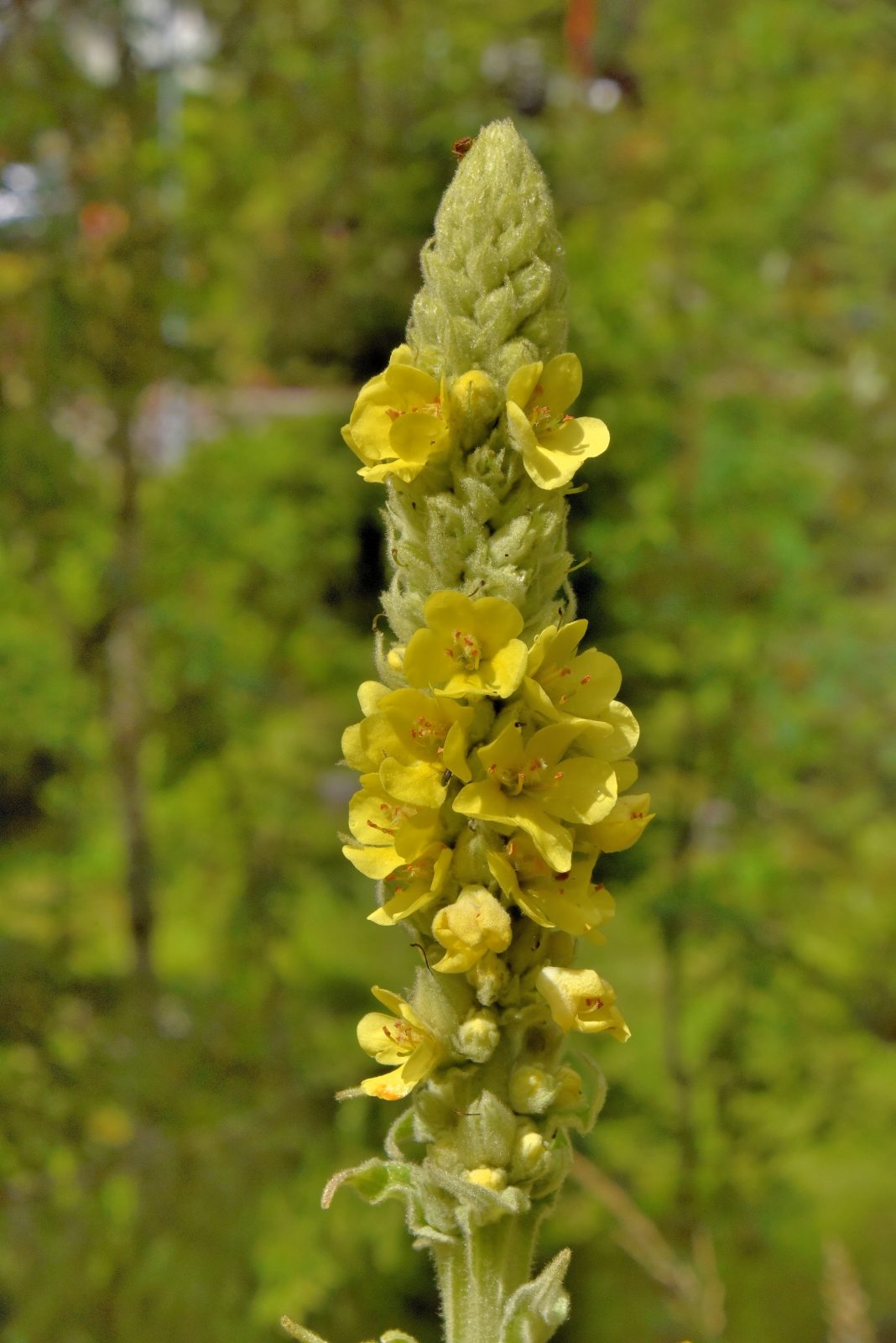 Valokuvaaja: Reijo Juurinen