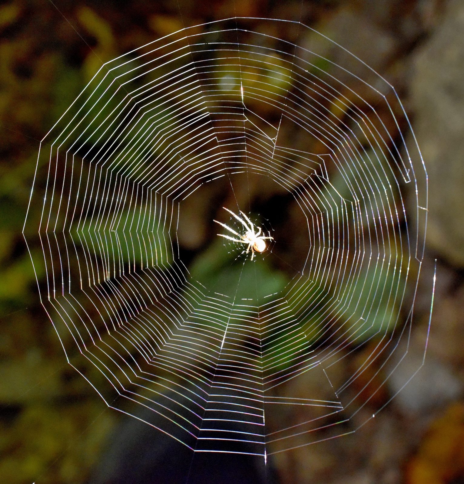 Valokuvaaja: Reijo Juurinen