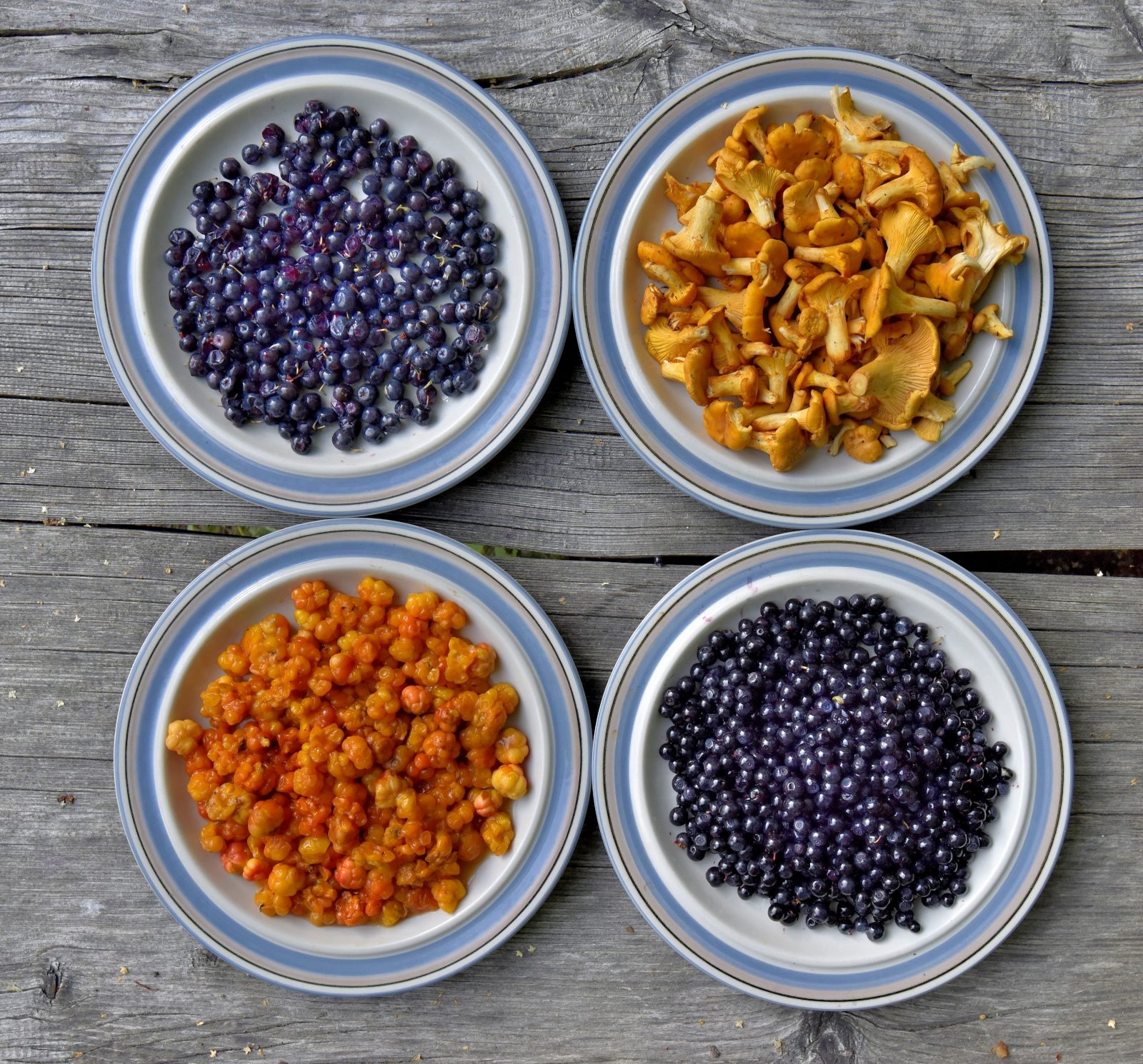 Valokuvaaja: Reijo Juurinen