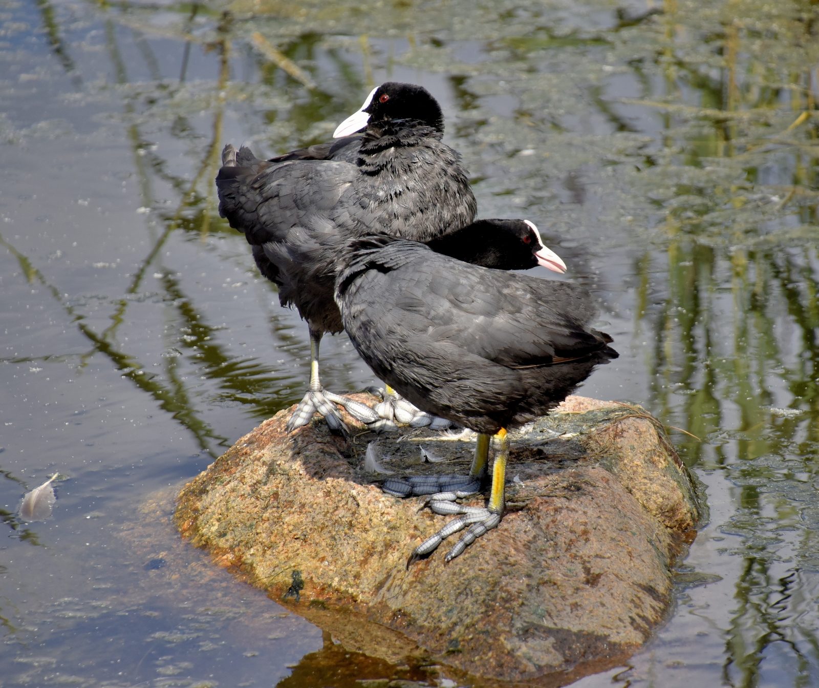 Valokuvaaja: Reijo Juurinen