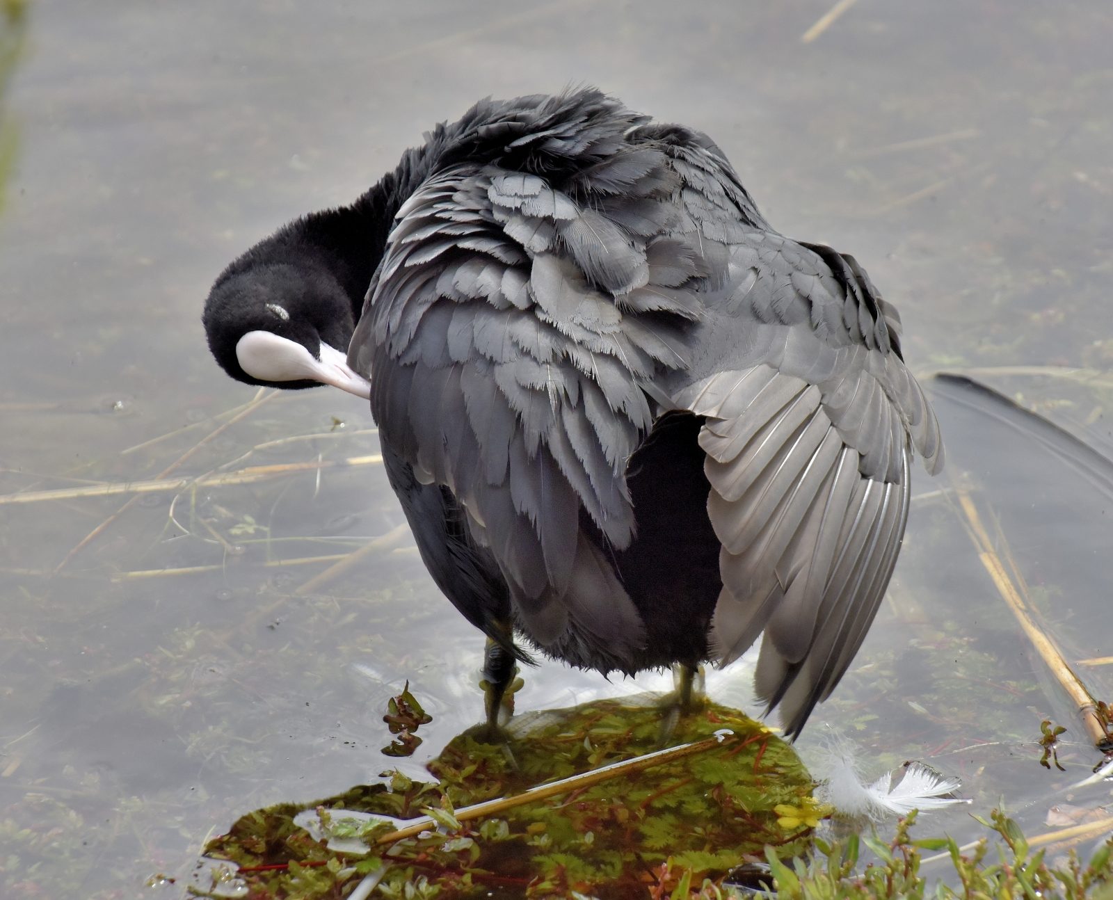 Valokuvaaja: Reijo Juurinen