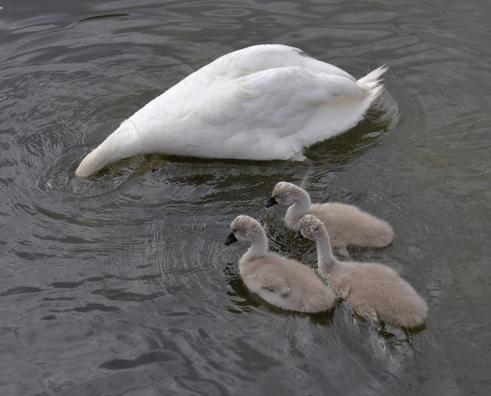 Valokuvaaja: Reijo Juurinen