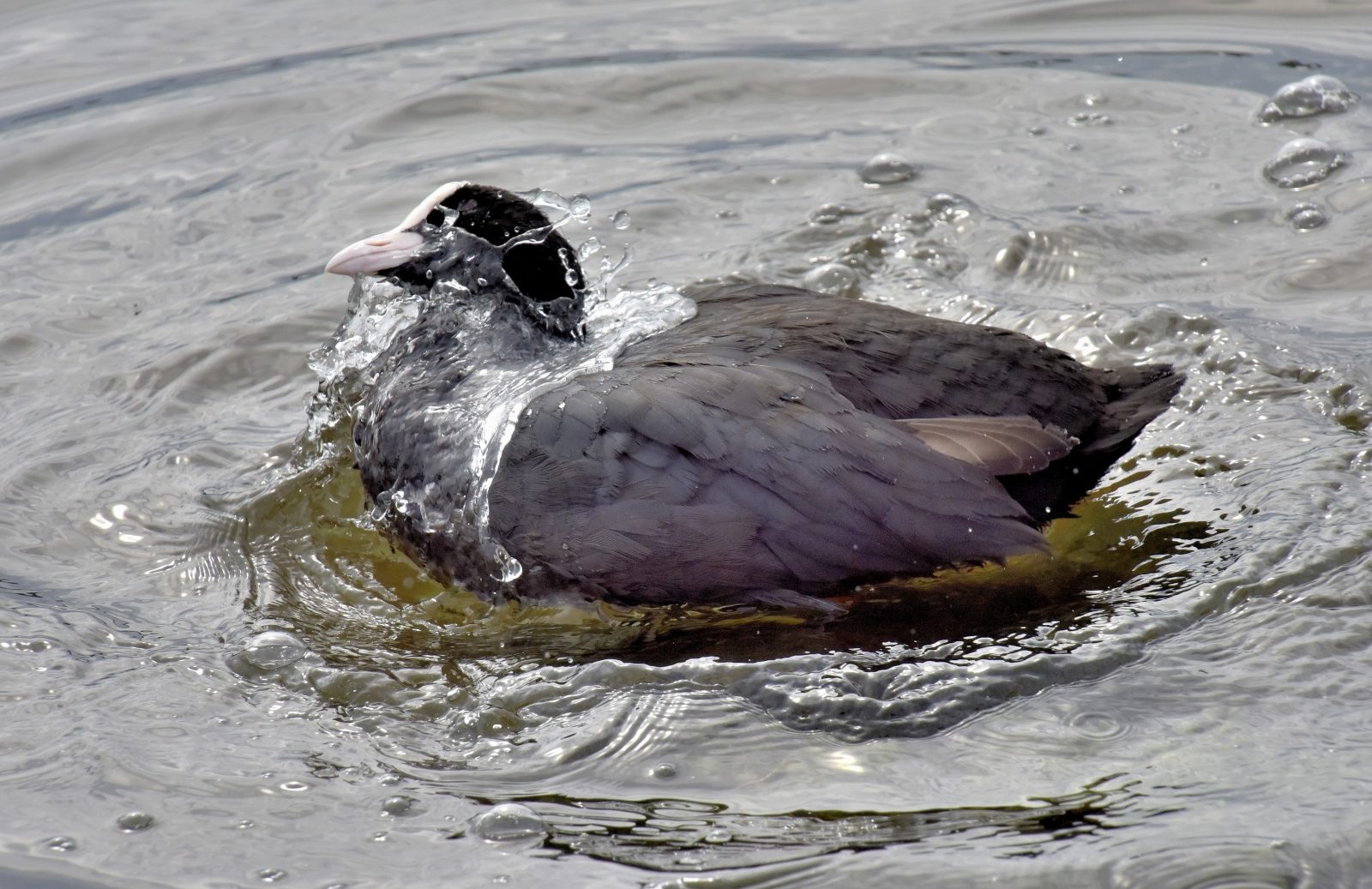 Valokuvaaja: Reijo Juurinen