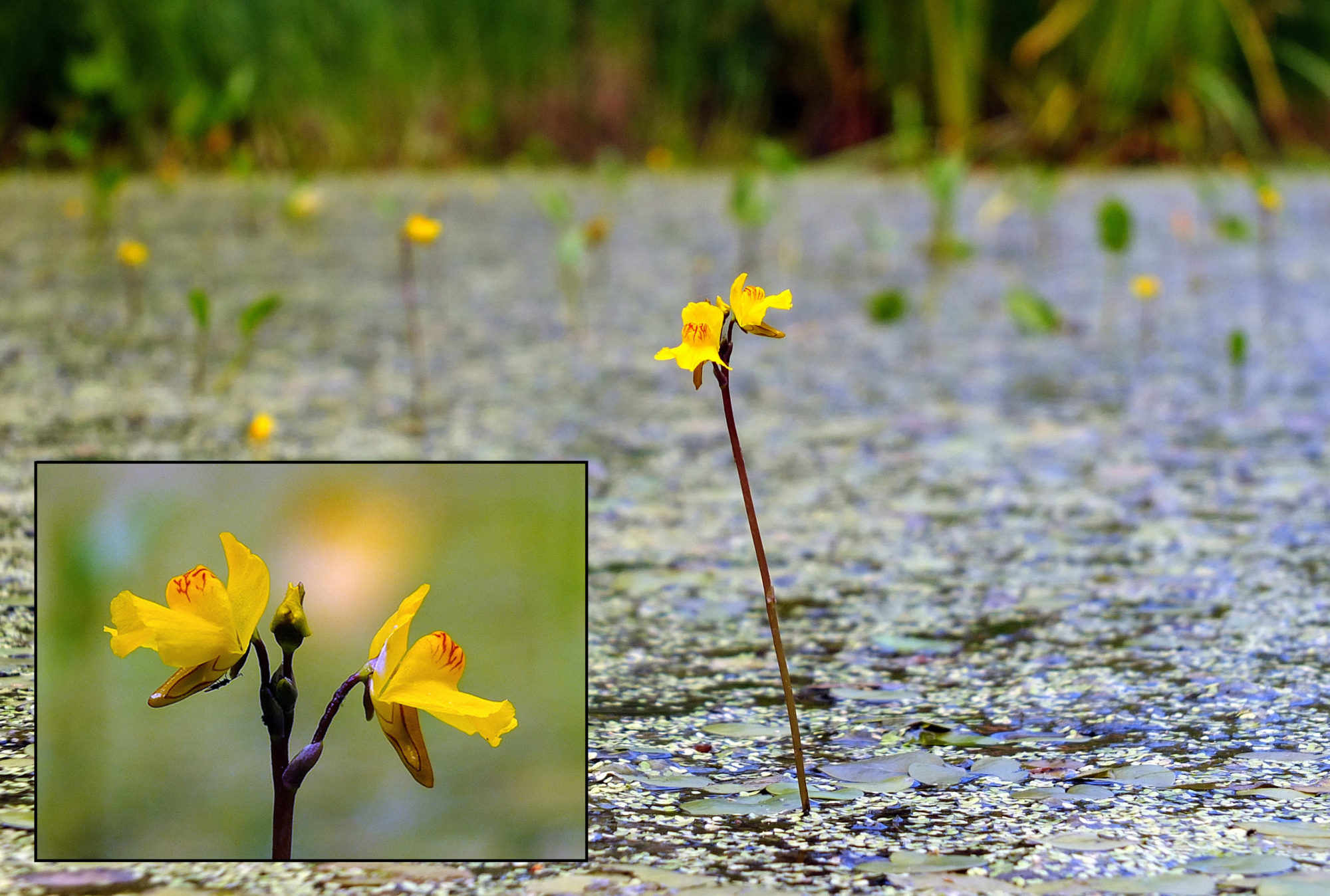 Valokuvaaja: hannu Rasiranta