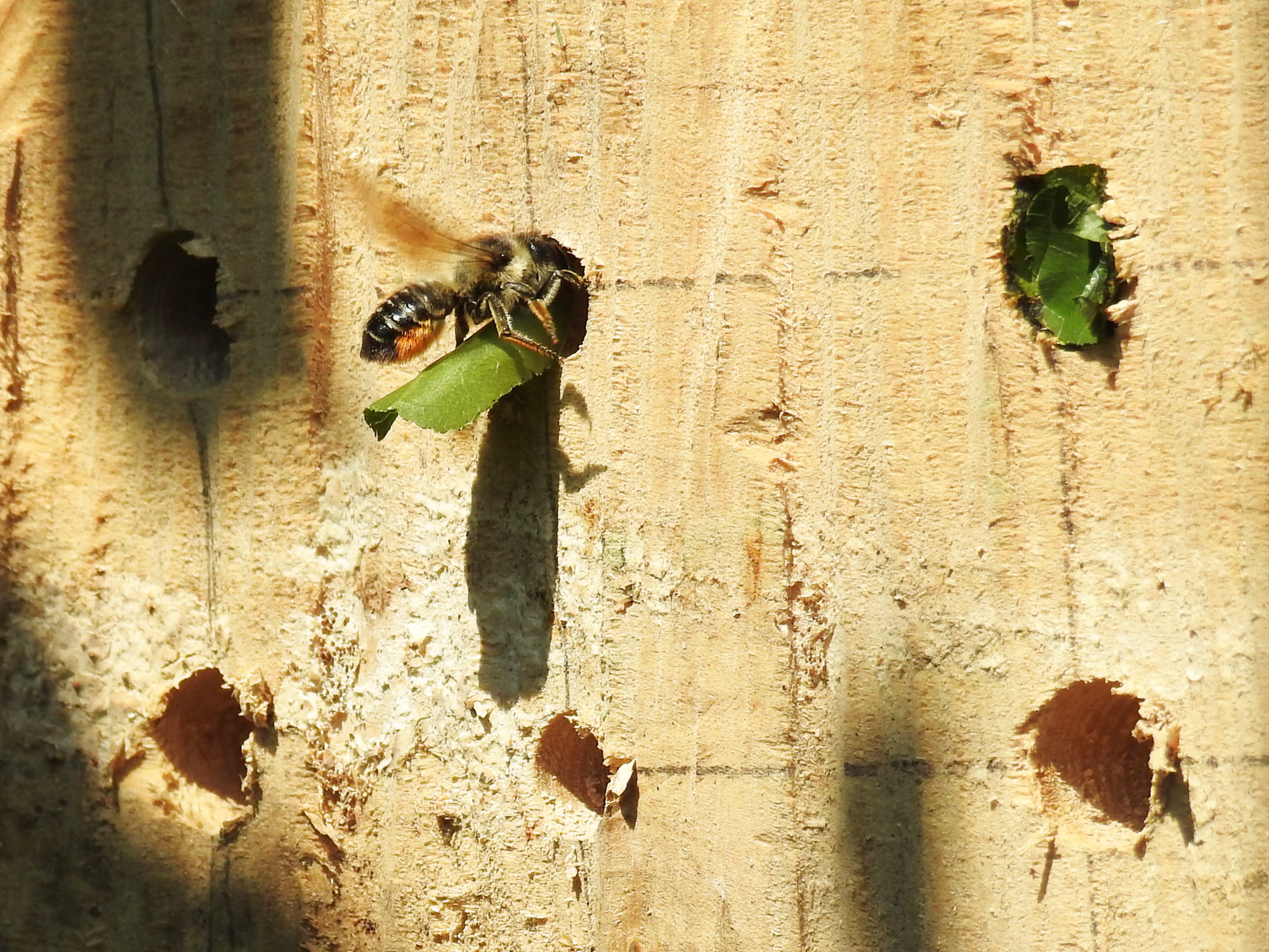 Valokuvaaja: Paavo Siukonen