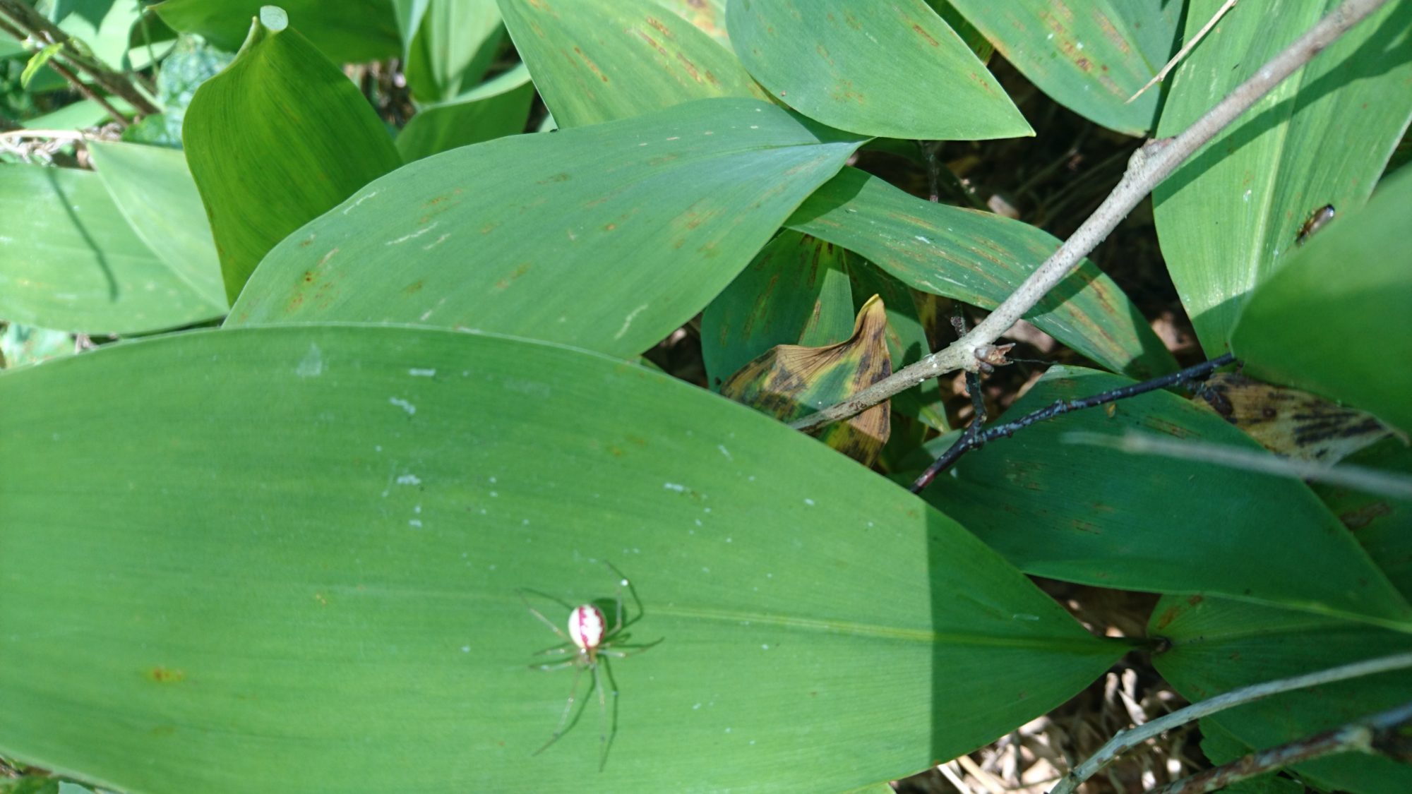 Valokuvaaja: Henrik Nikander