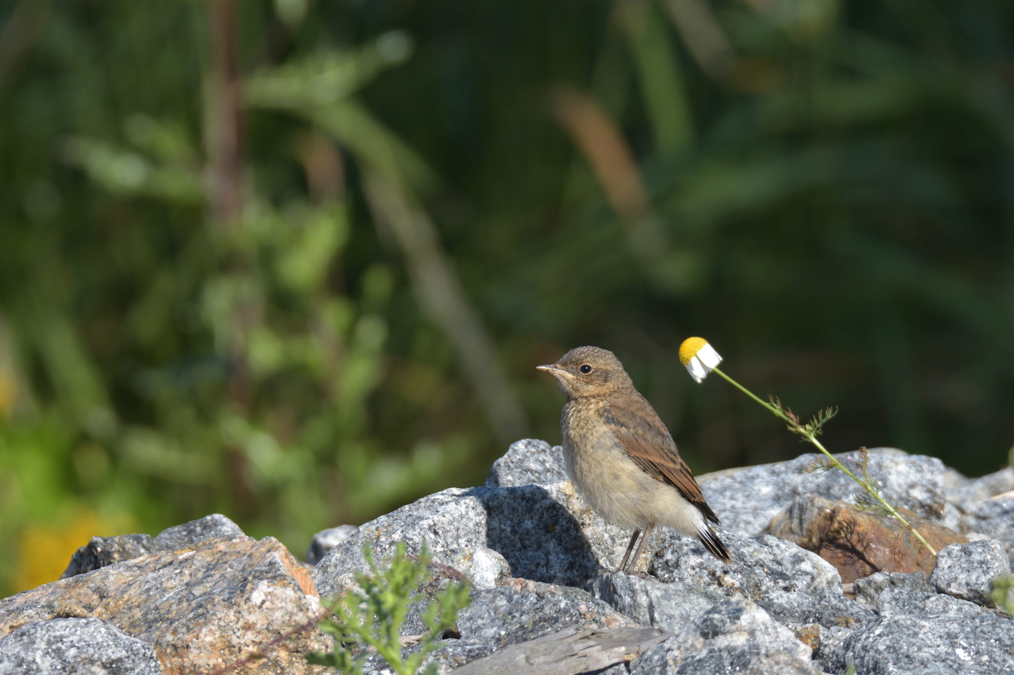 Valokuvaaja: Asko Heikkinen