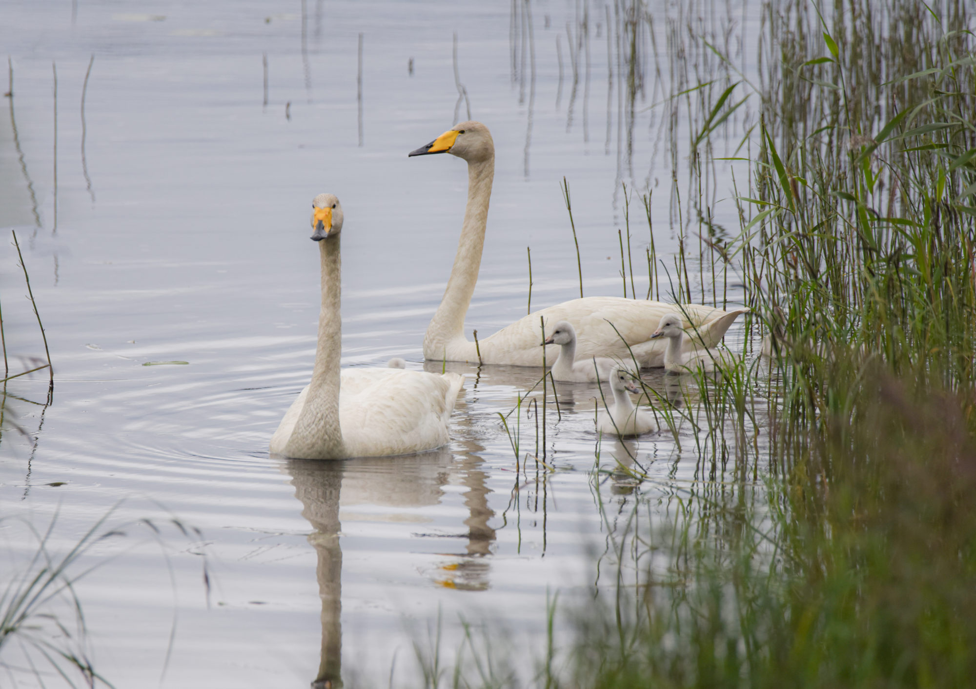 Valokuvaaja: Maija Savolainen