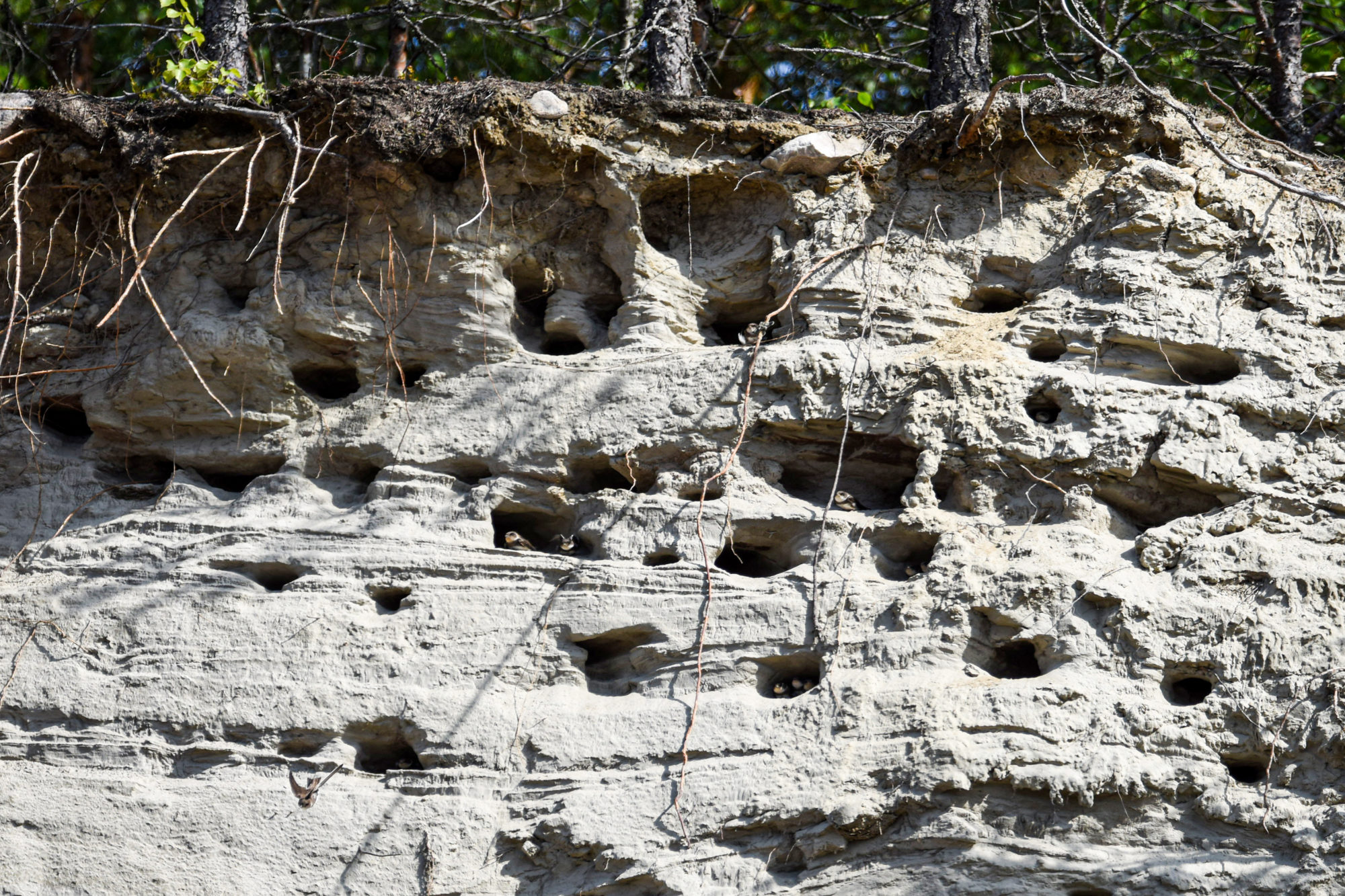 Valokuvaaja: Maija Savolainen