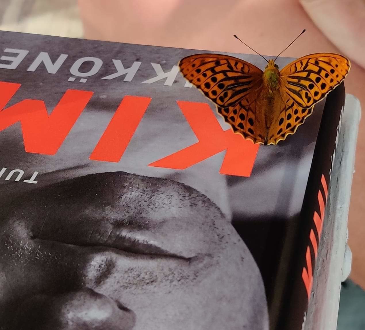 Valokuvaaja: Carita Oksa