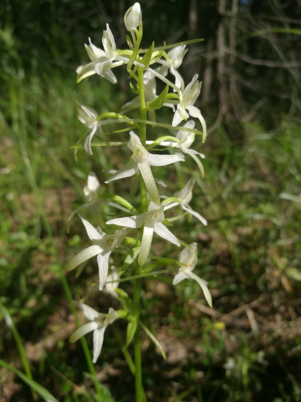 Valokuvaaja: Gertu Krasman