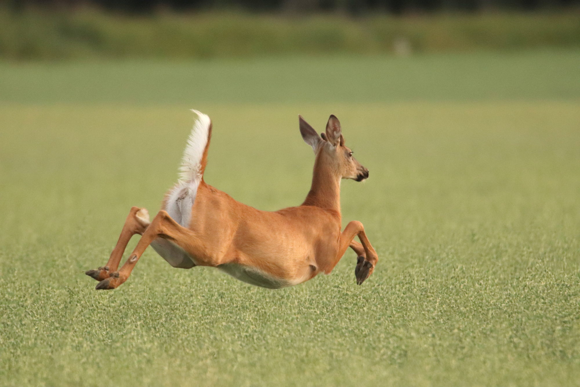 Valokuvaaja: Irja Lehtinen