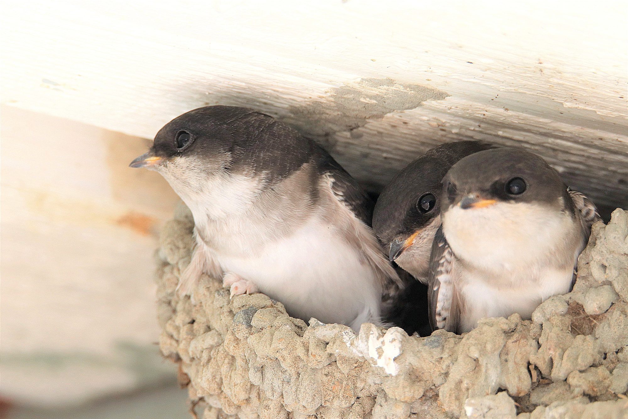 Valokuvaaja: Irja Lehtinen Valokuvaaja: Irja Lehtinen