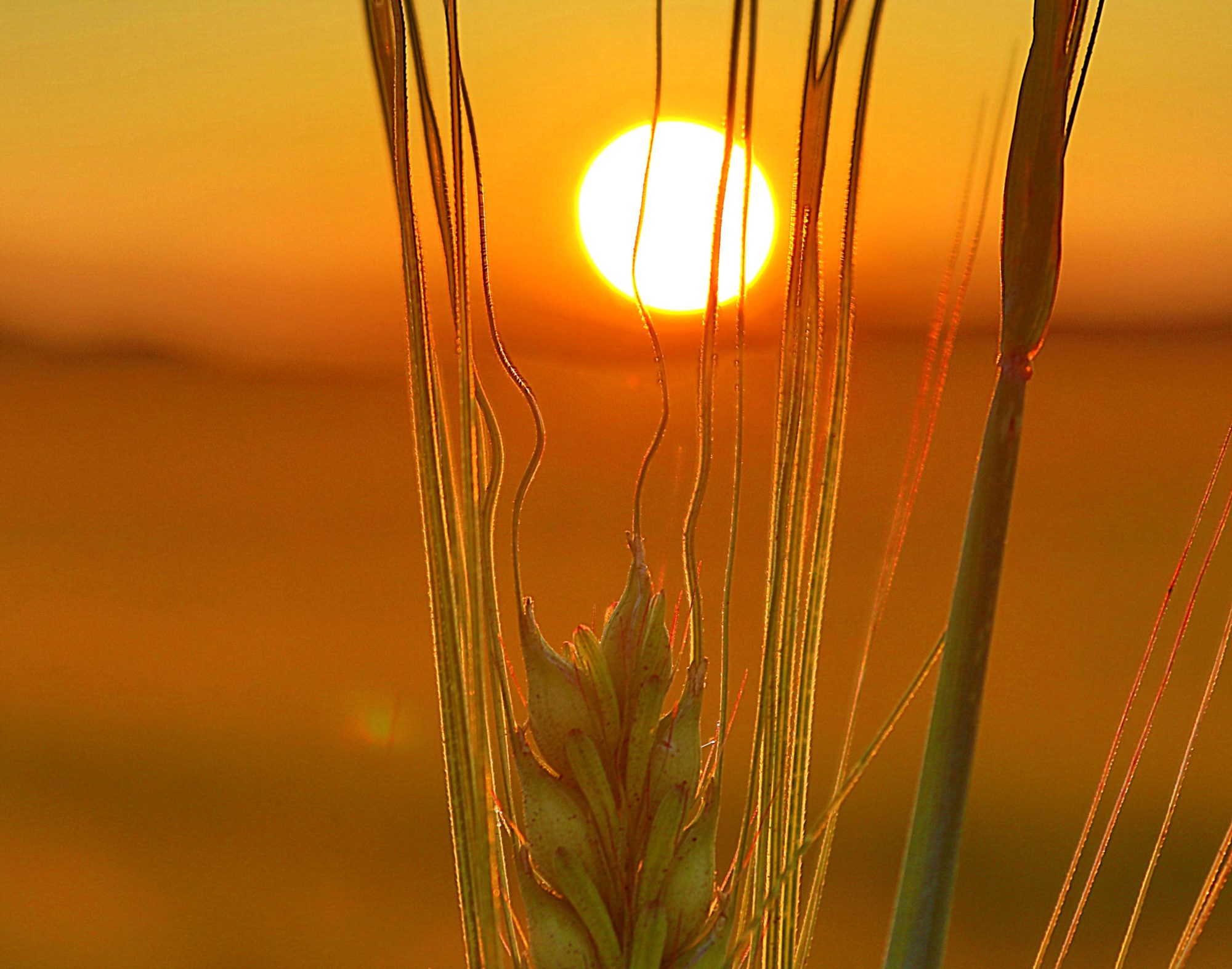 Valokuvaaja: Irja Lehtinen Valokuvaaja: Irja Lehtinen
