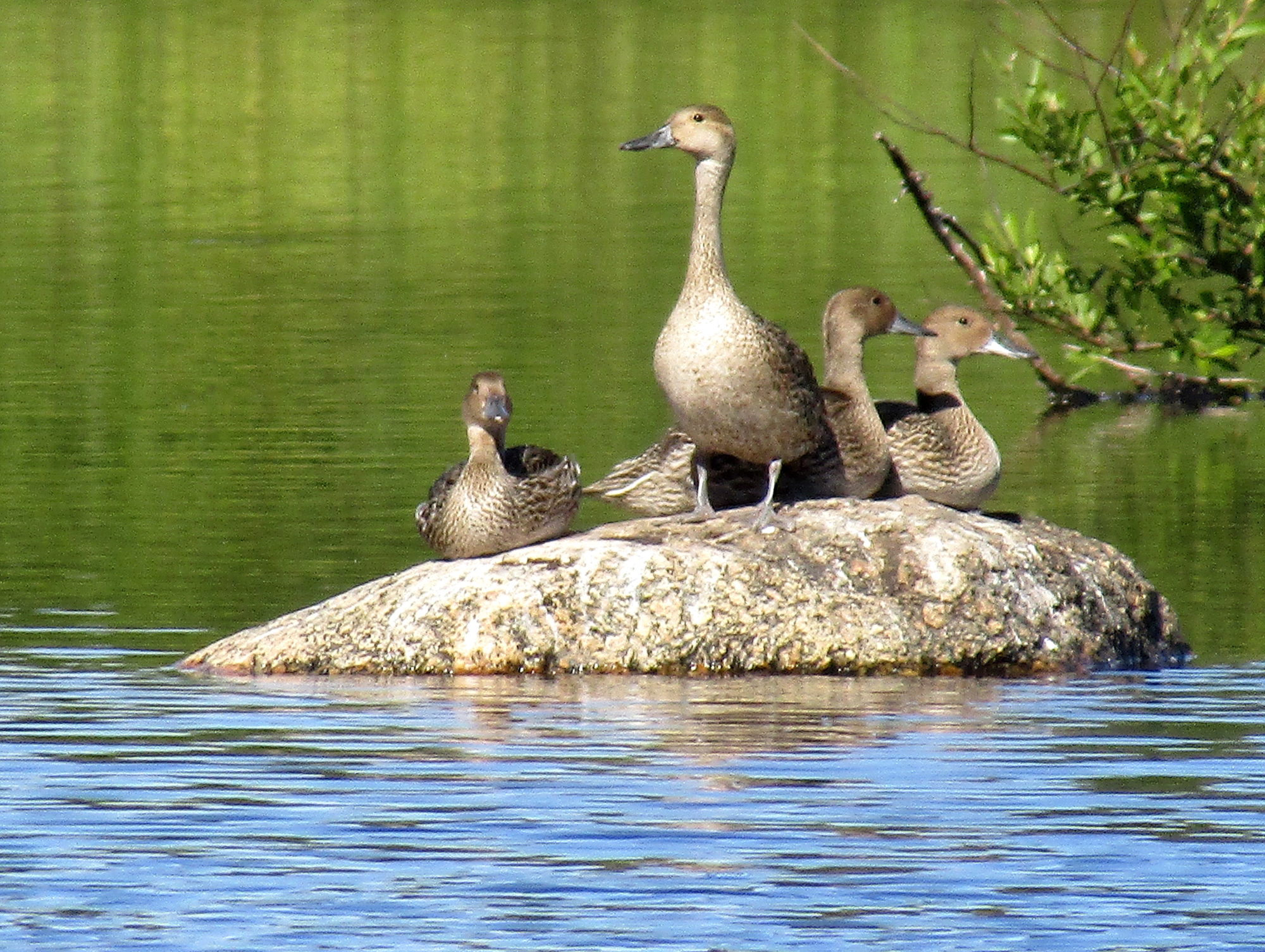 Valokuvaaja: Sirkka Ruotoistenmäki