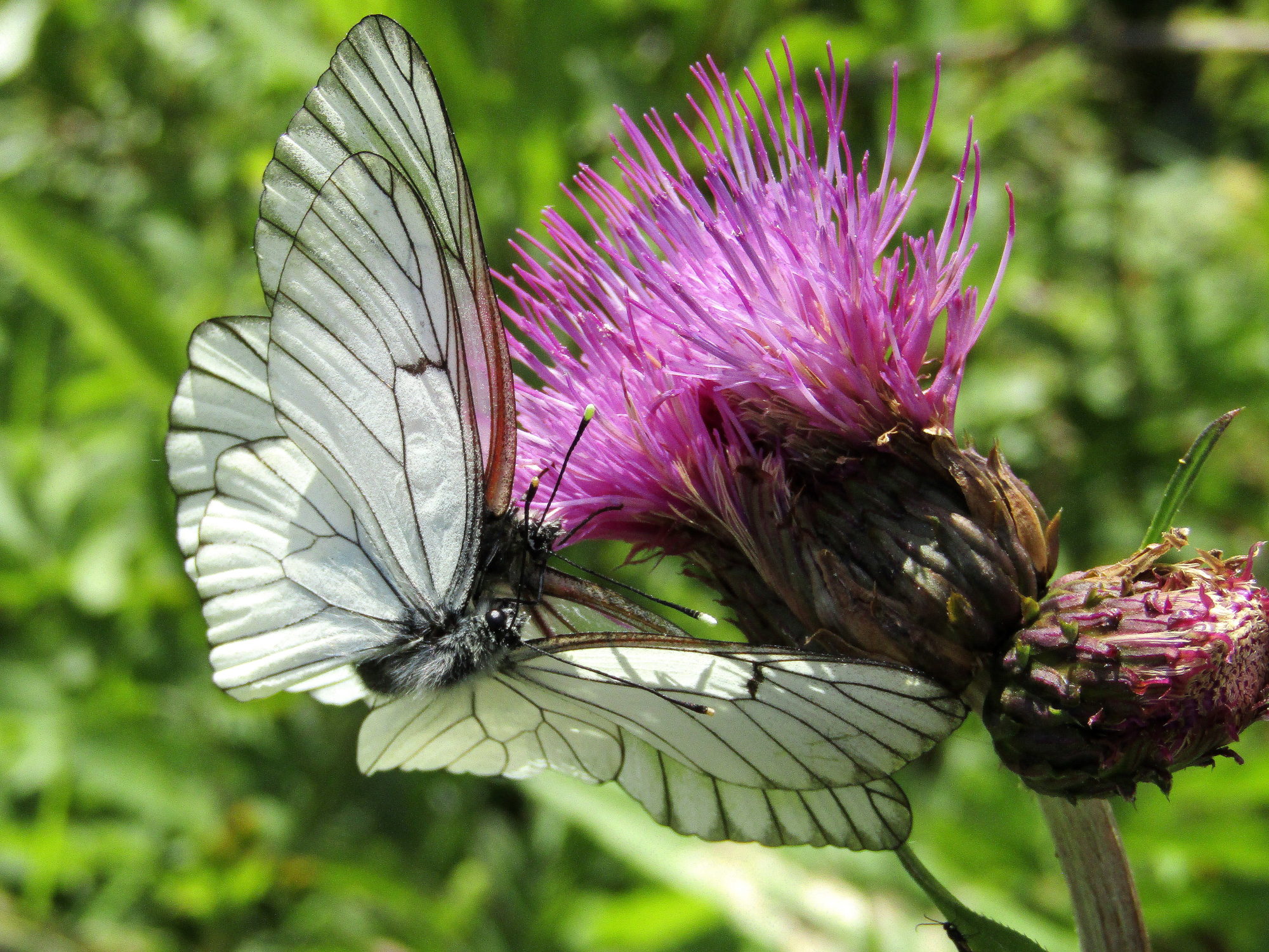 Valokuvaaja: Sirkka Ruotoistenmäki