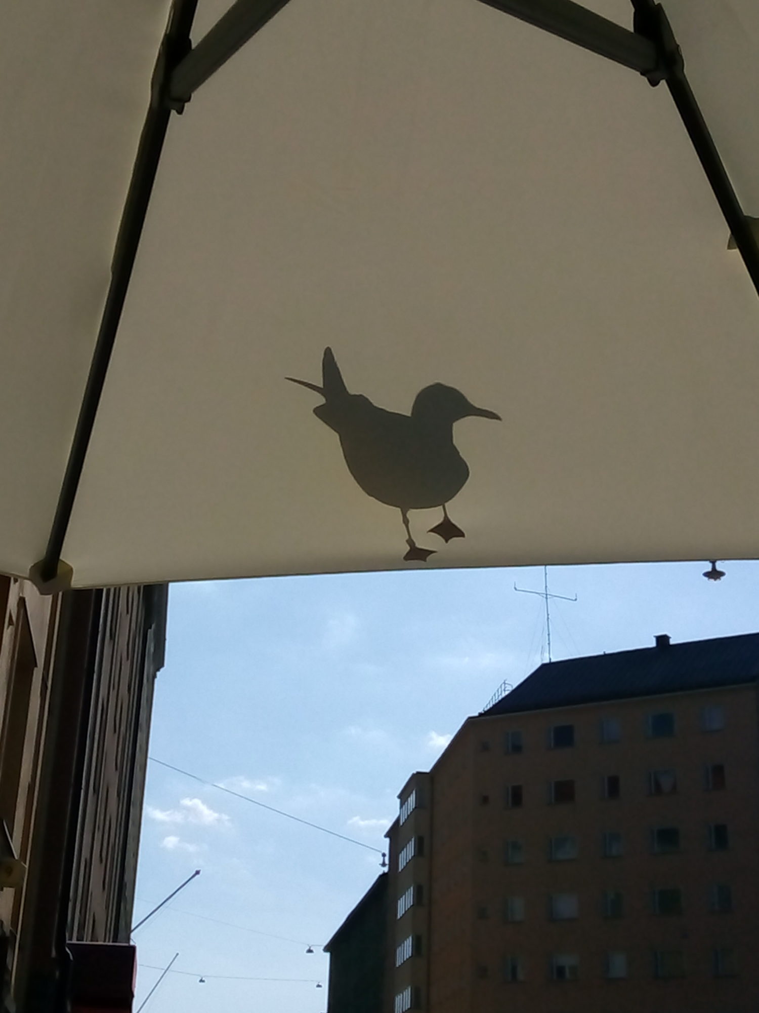 Valokuvaaja: Ismo Konkari