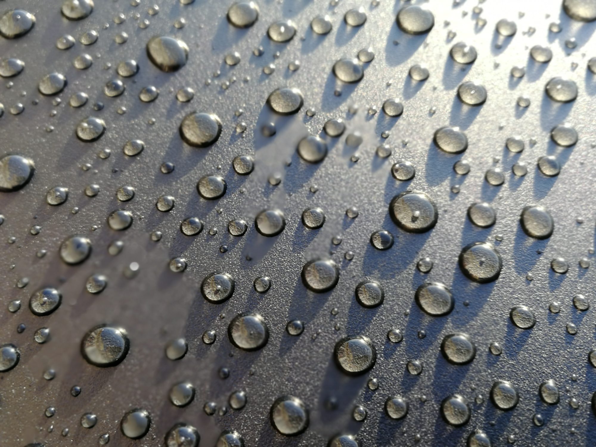 Valokuvaaja: Minna T  Korhonen