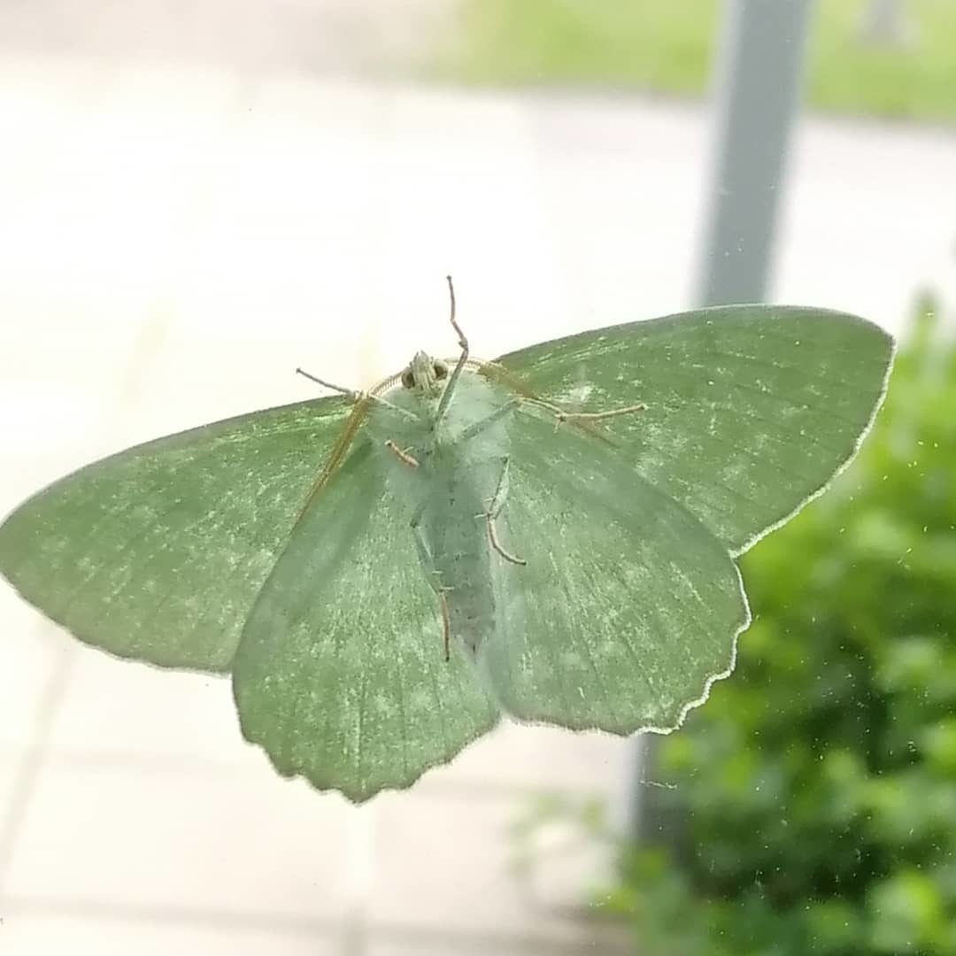 Valokuvaaja: Jaana Valokuvaaja: Jaana