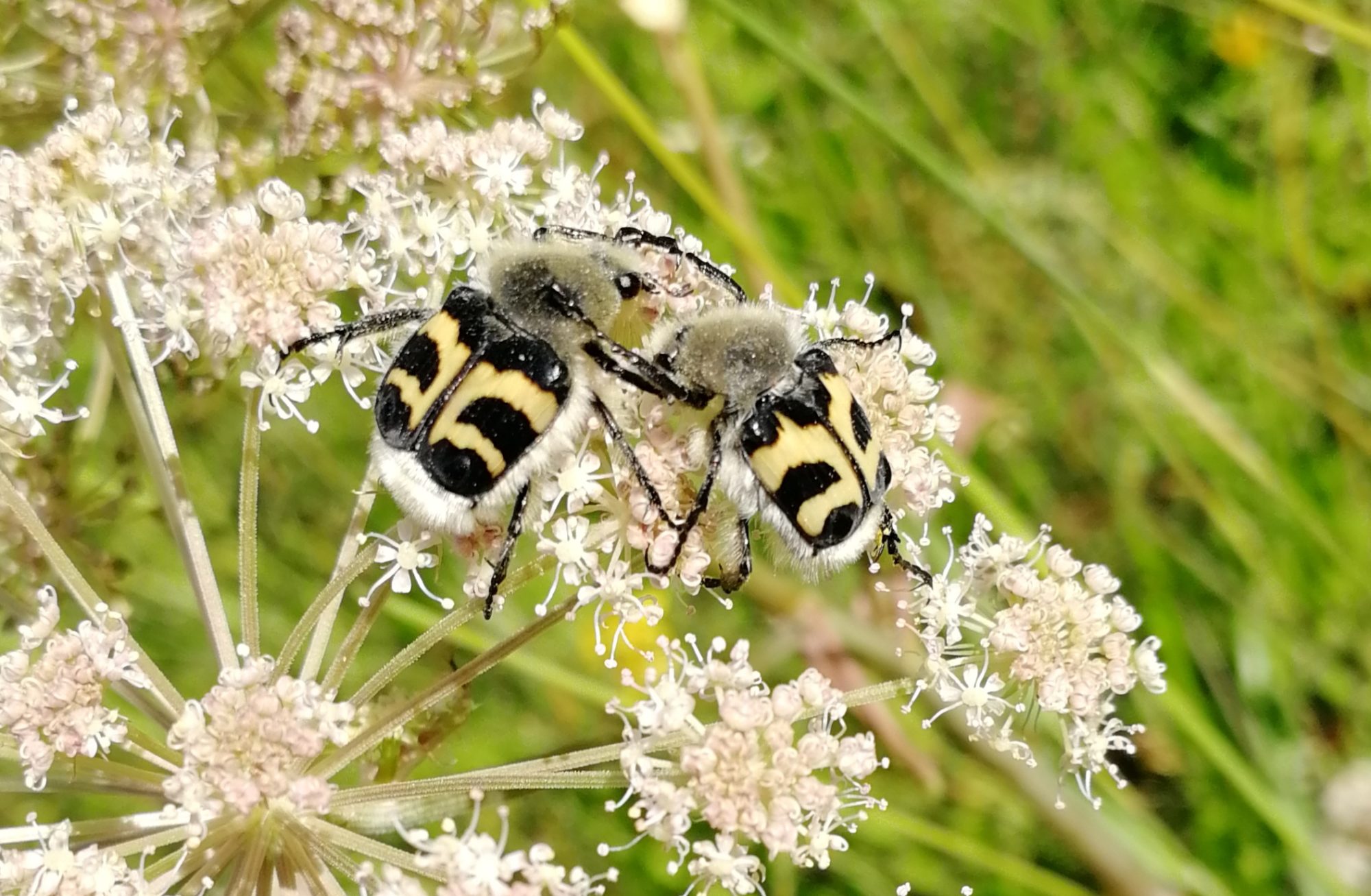 Valokuvaaja: Minna T Valokuvaaja: Minna T
