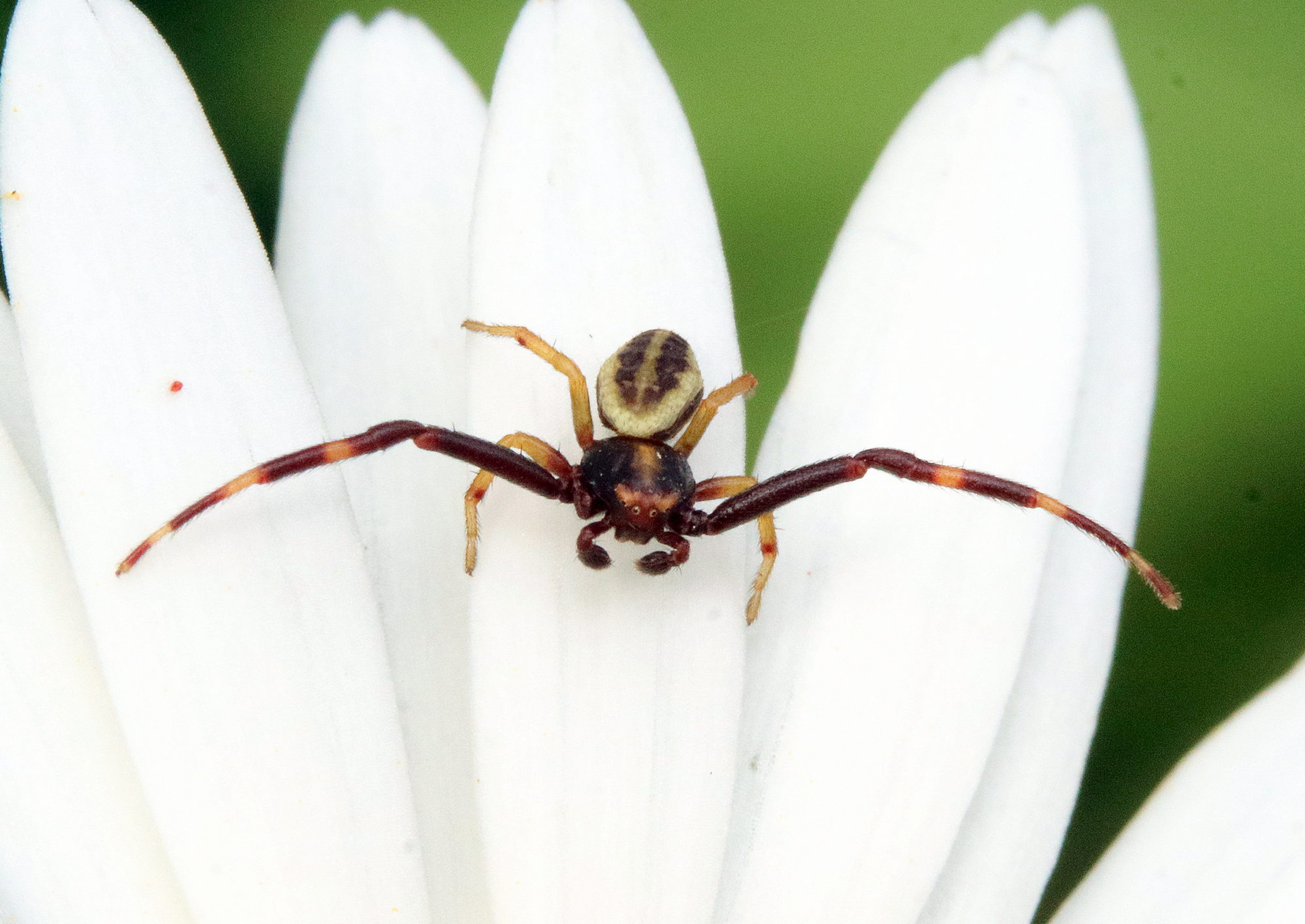 Valokuvaaja: hannu Rasiranta