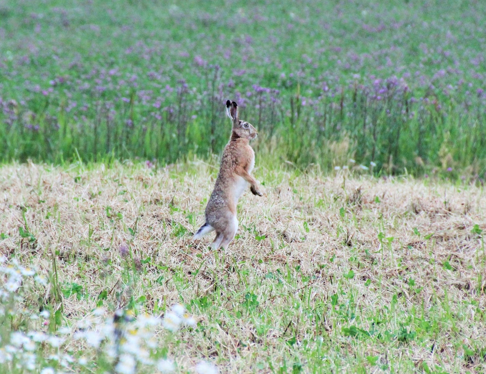 Valokuvaaja: Marke Laaksonen