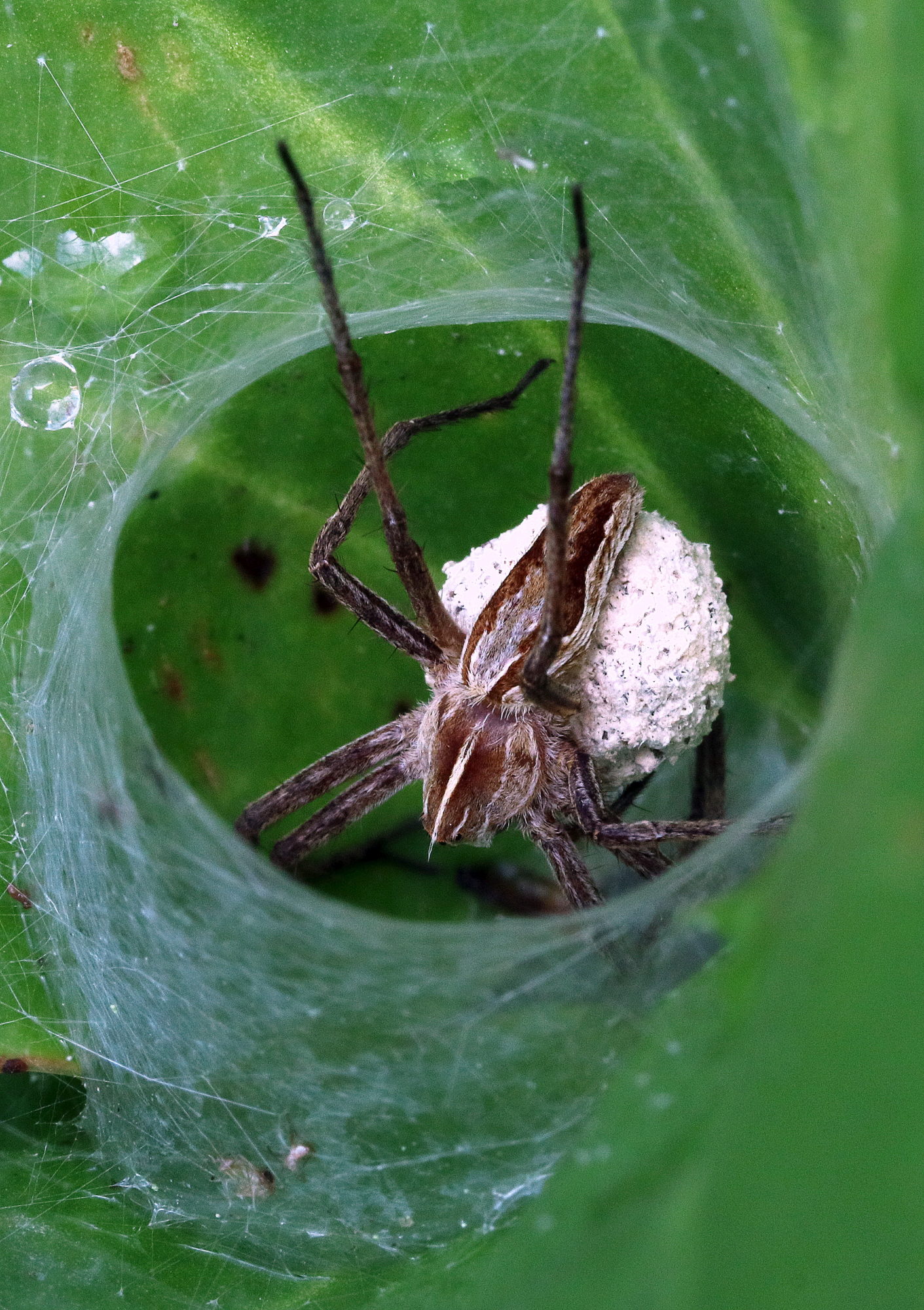 Valokuvaaja: hannu Rasiranta