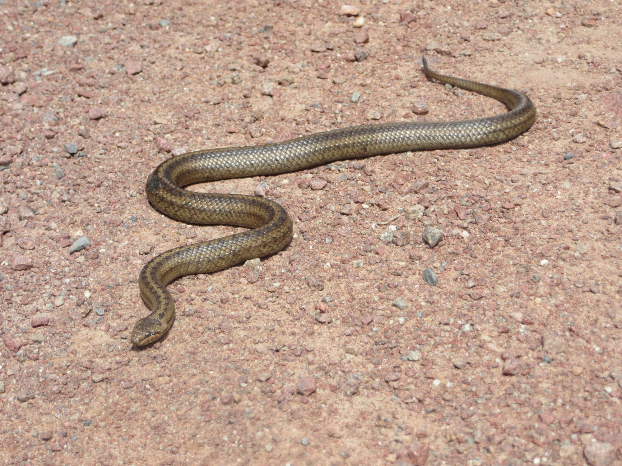 Valokuvaaja: Minna T