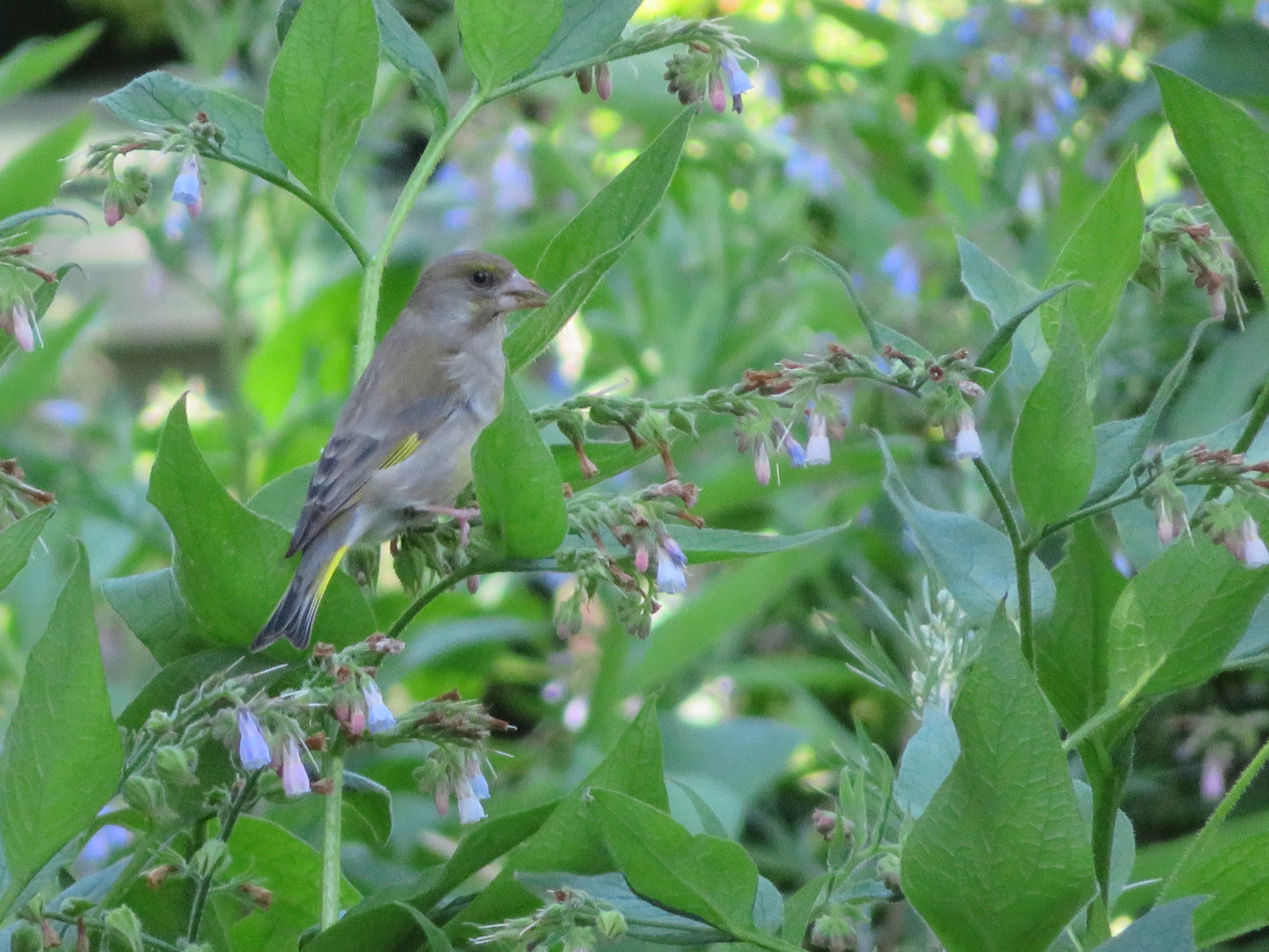 Valokuvaaja: Risto Kangassalo