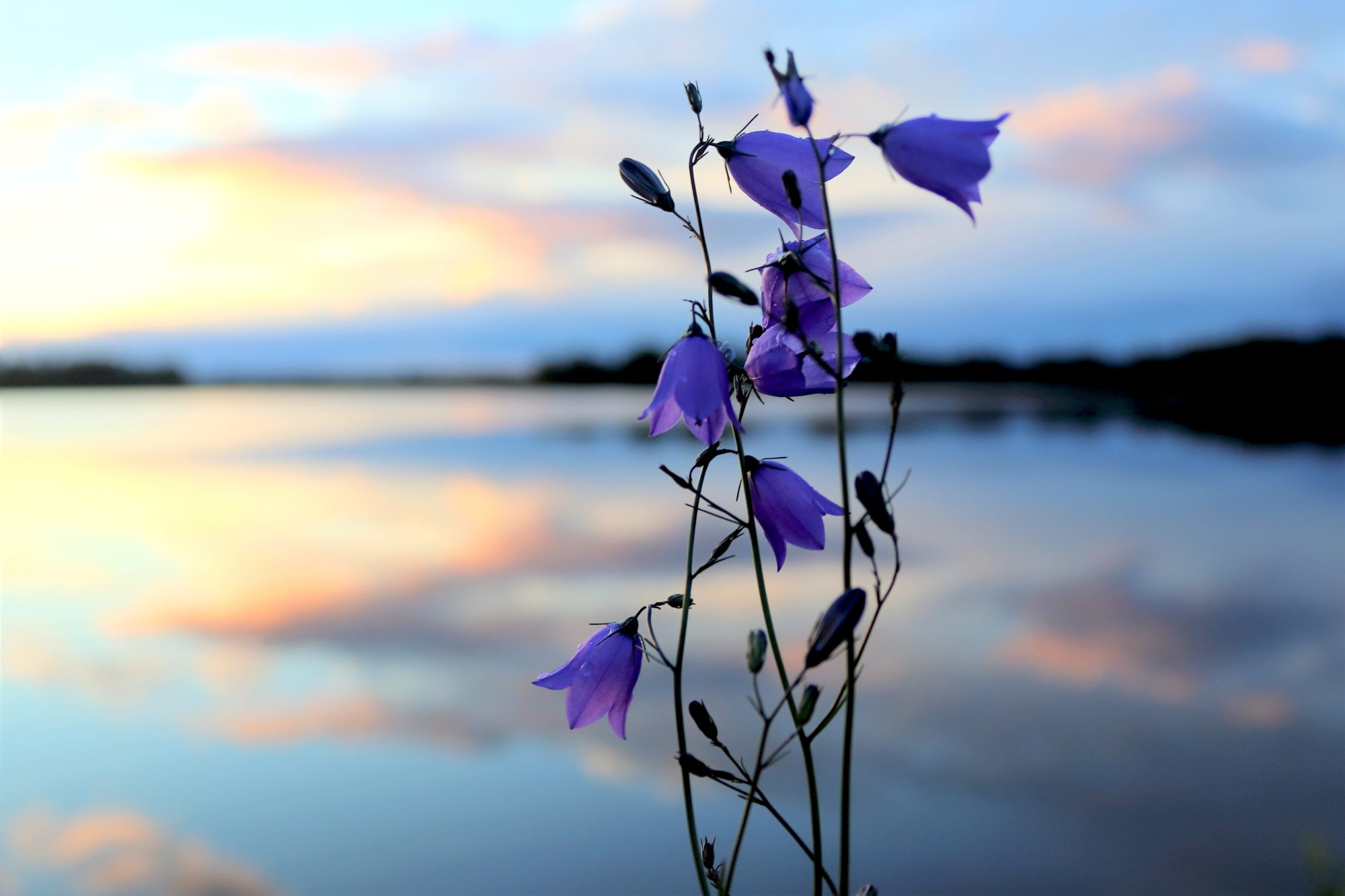 Valokuvaaja: Irja Lehtinen