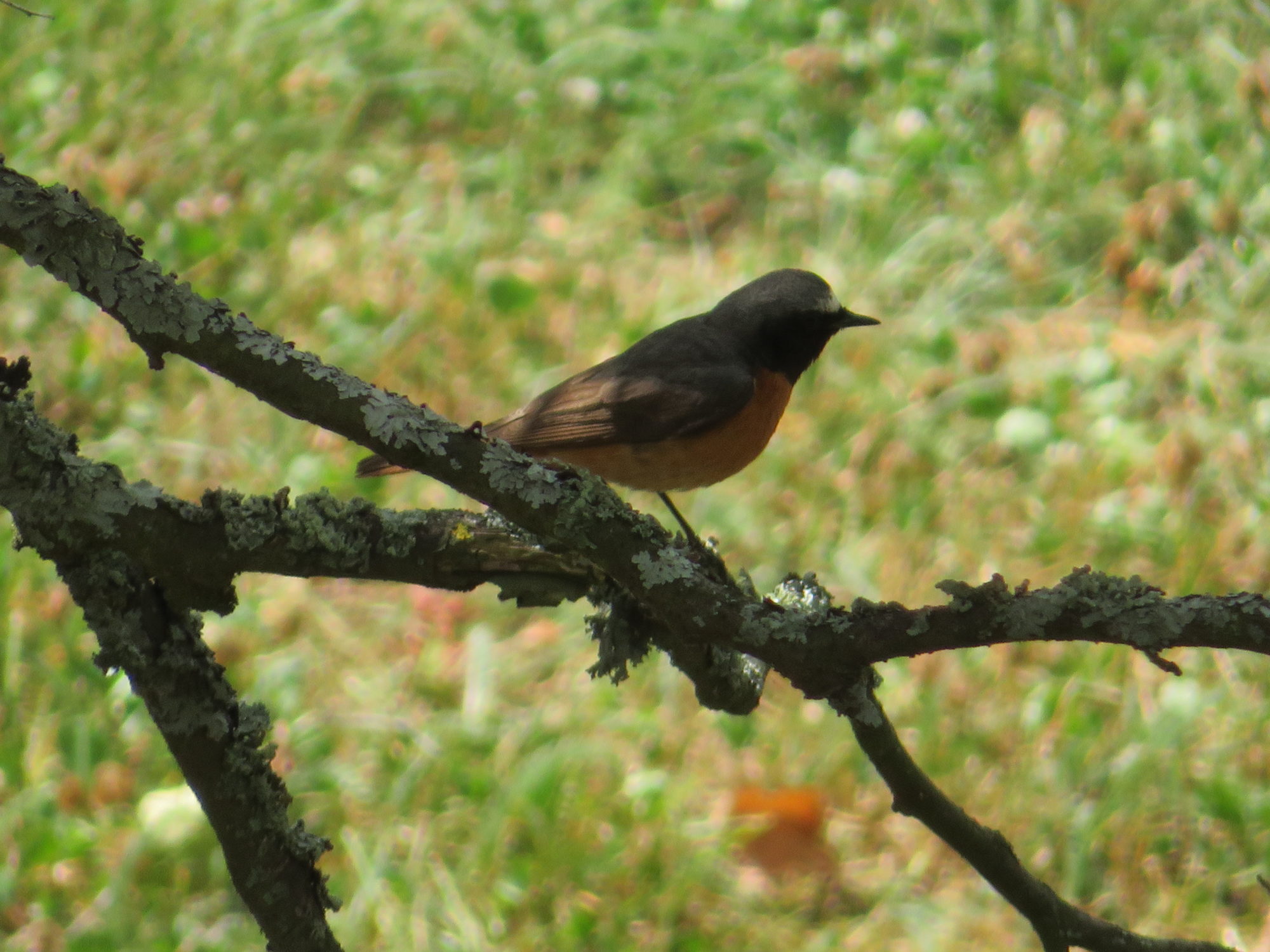 Valokuvaaja: Risto Kangassalo