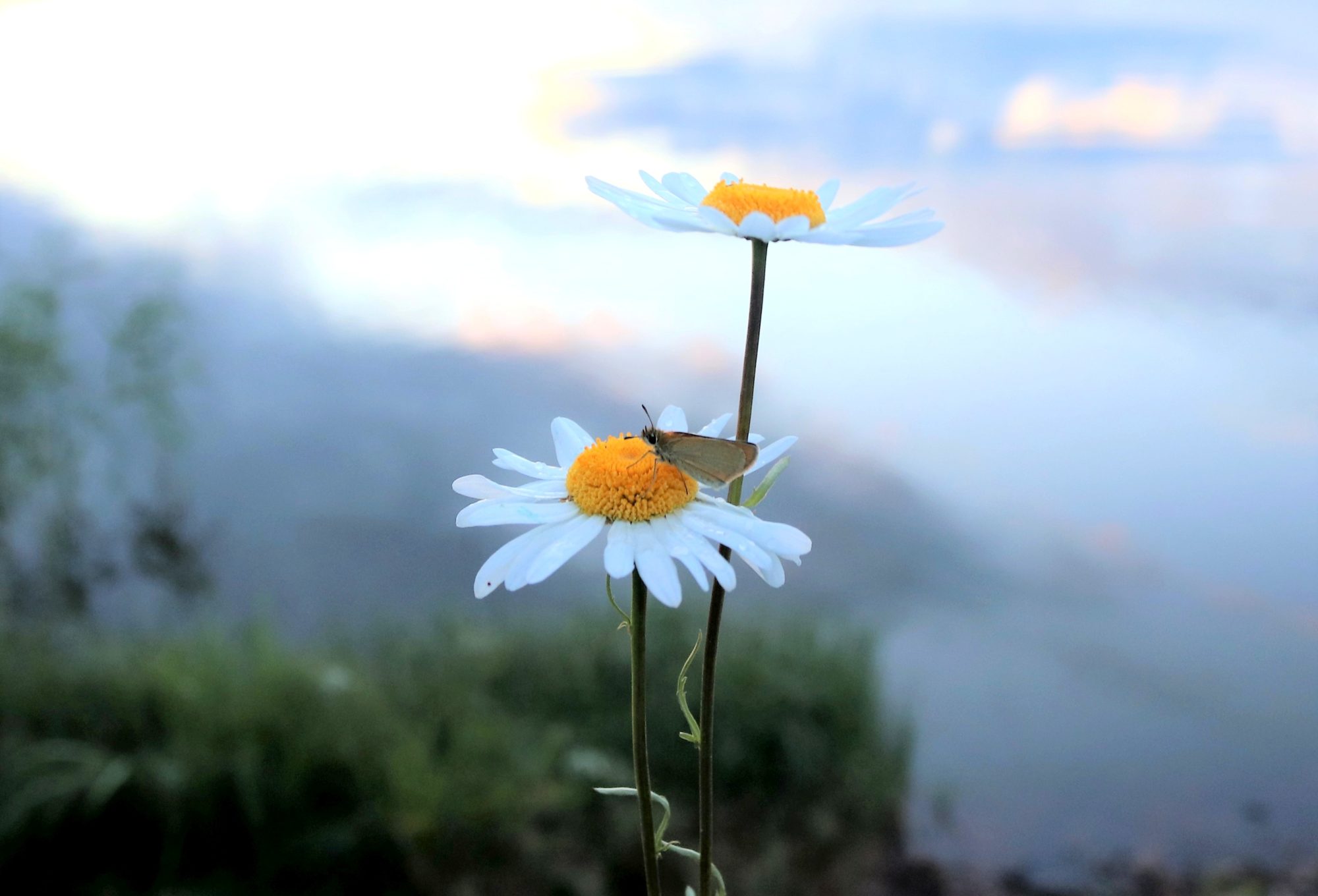 Valokuvaaja: Irja Lehtinen