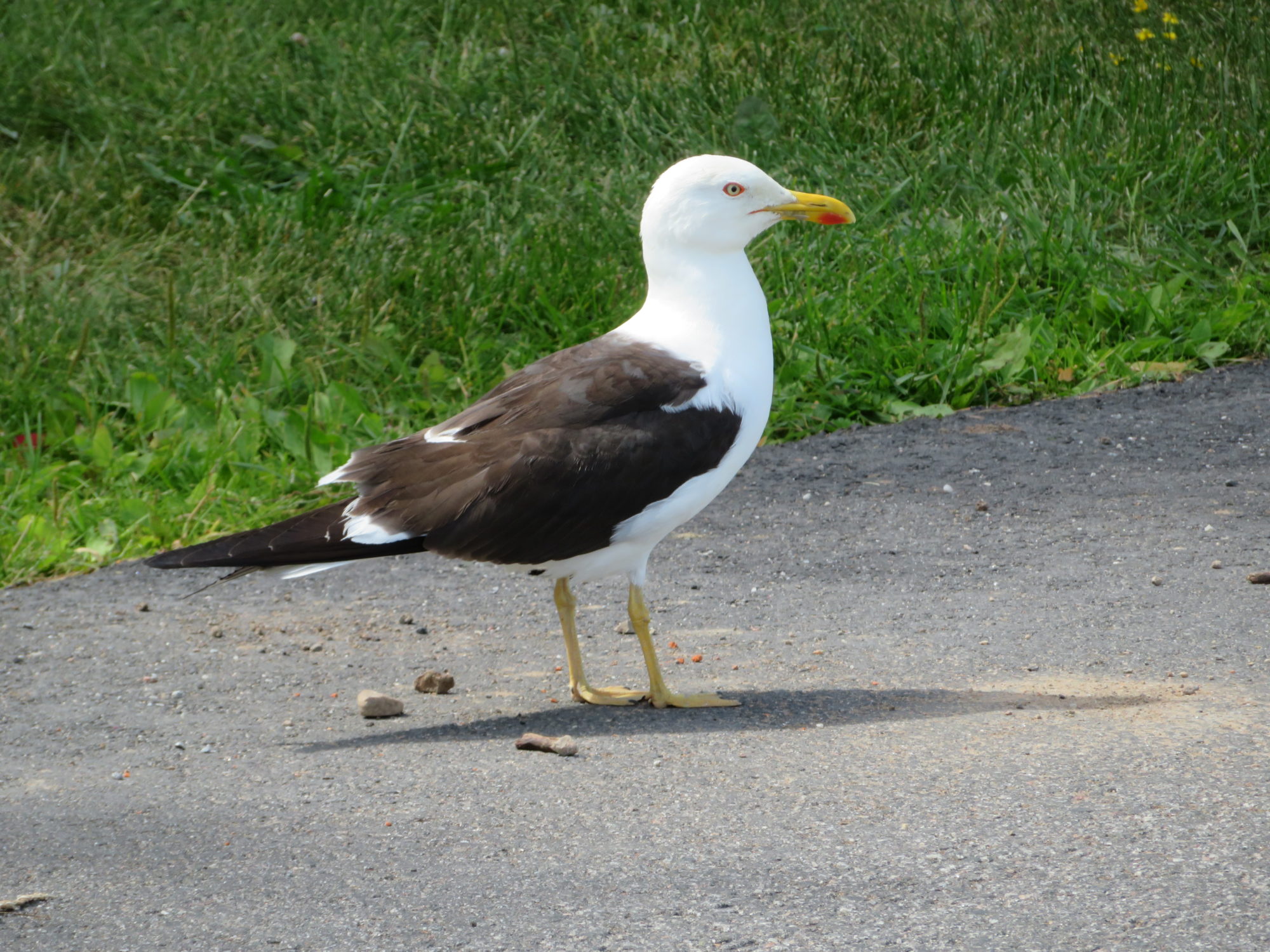 Valokuvaaja: Risto Kangassalo