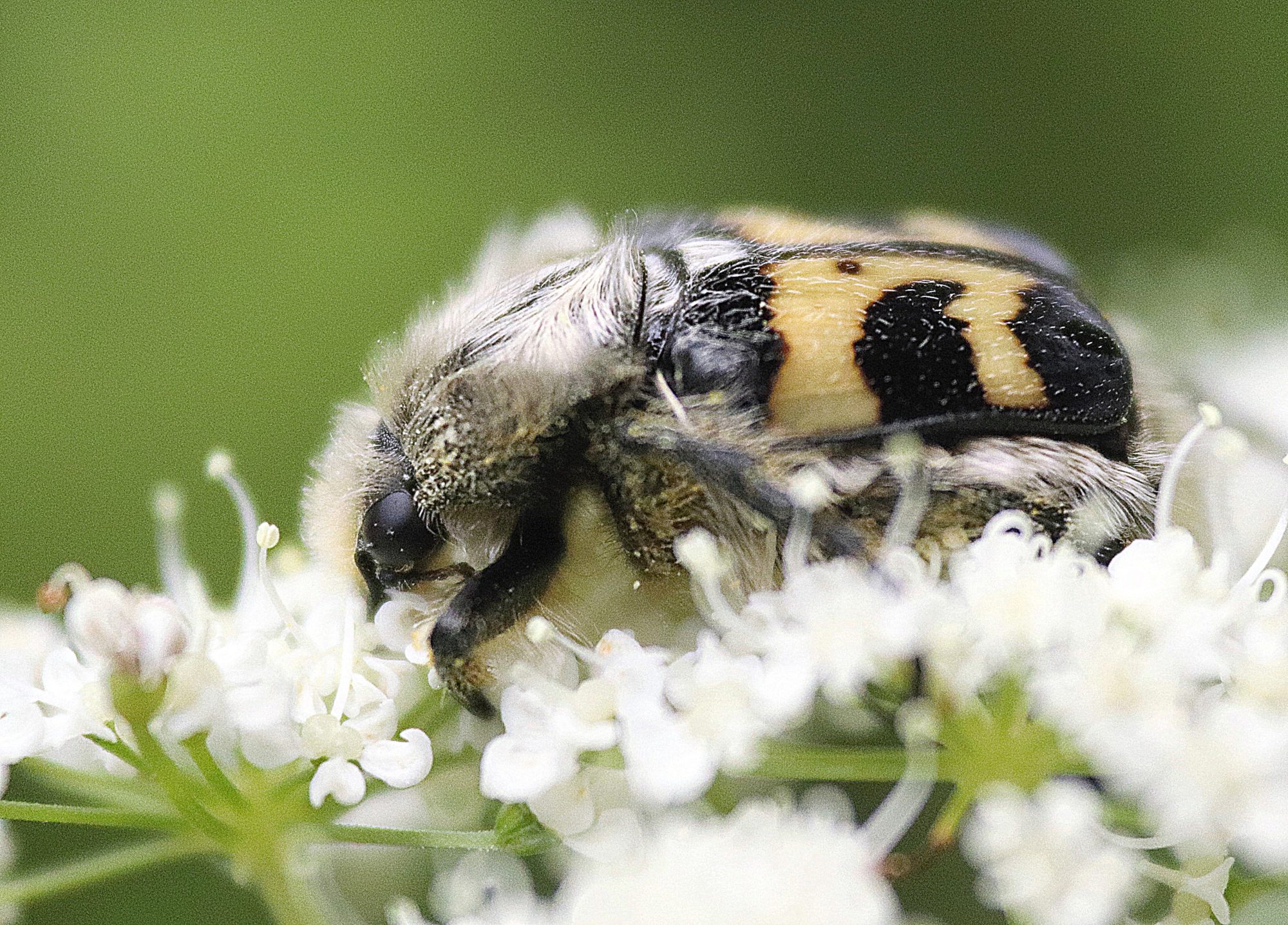 Valokuvaaja: Irja Lehtinen