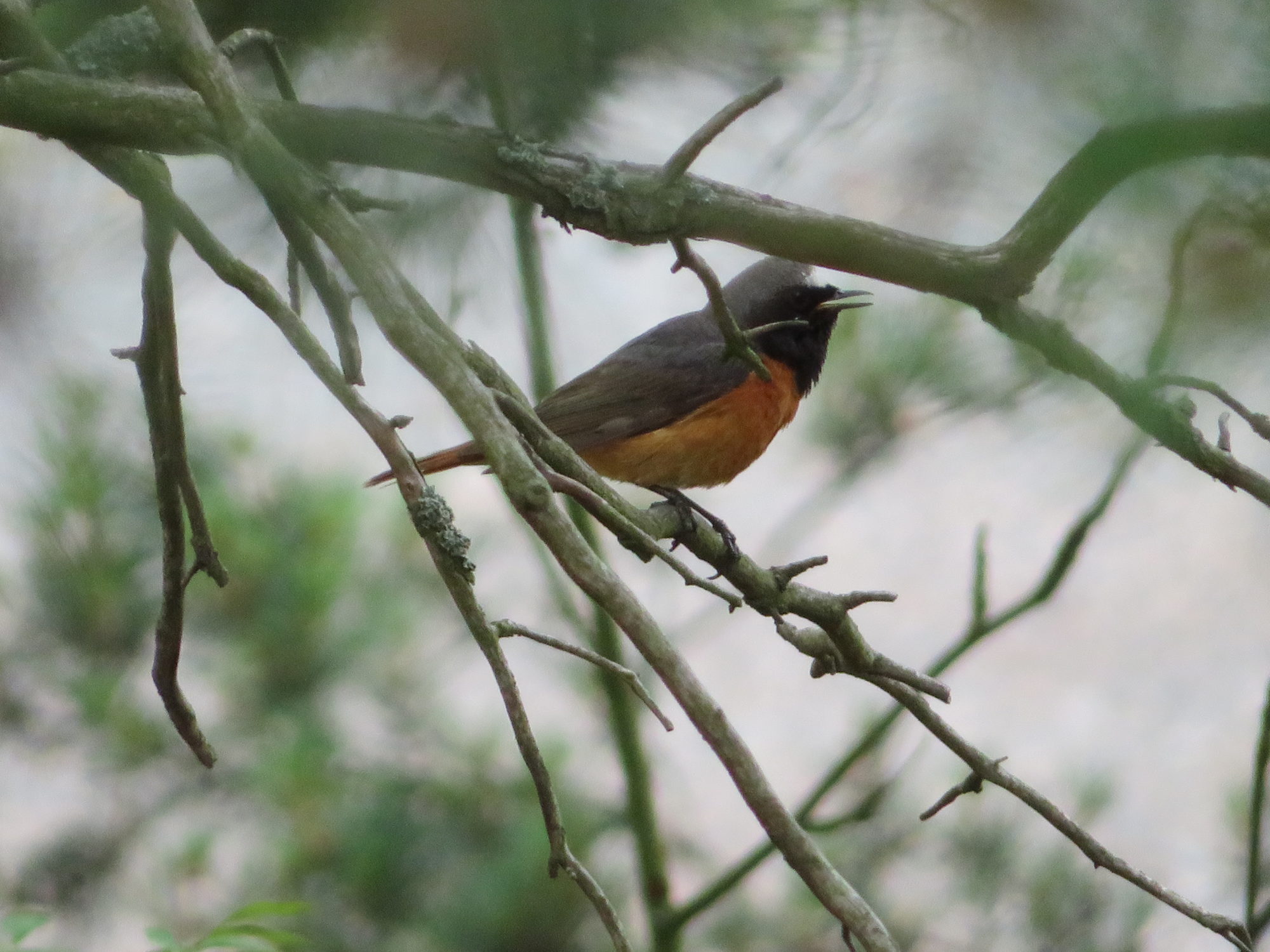 Valokuvaaja: Risto Kangassalo