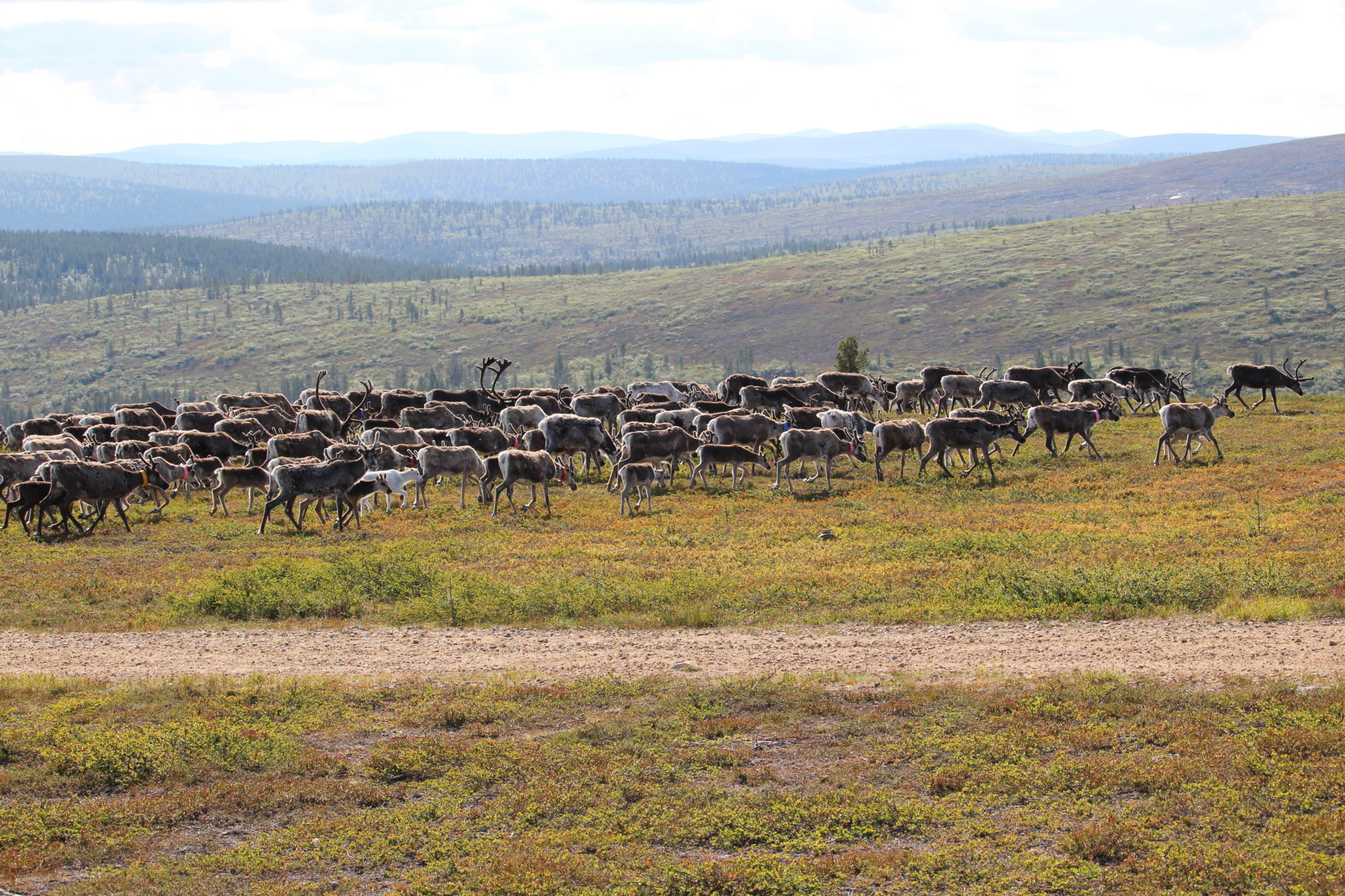 Valokuvaaja: Kirsi-Marja Joenpolvi