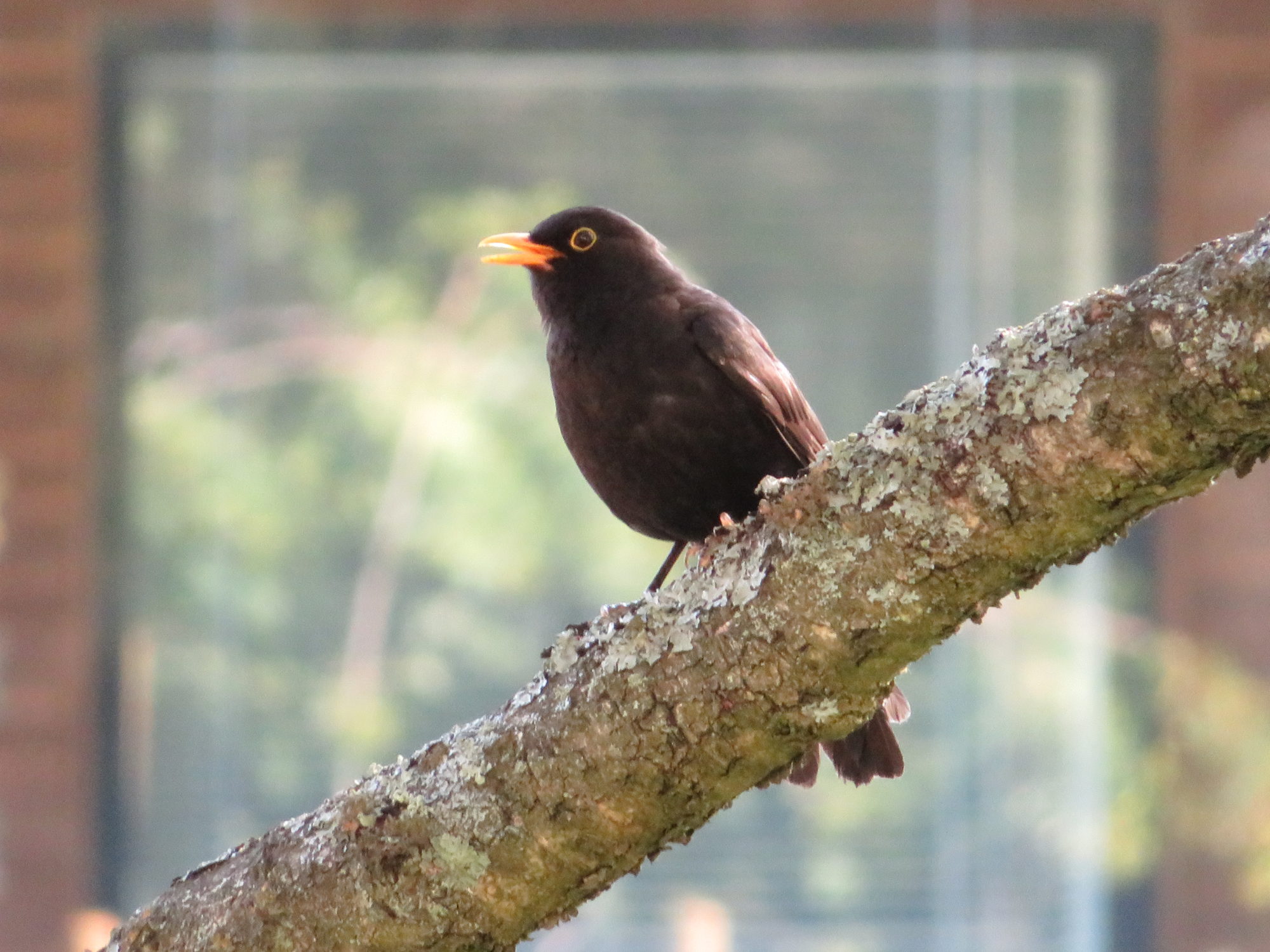 Valokuvaaja: Risto Kangassalo