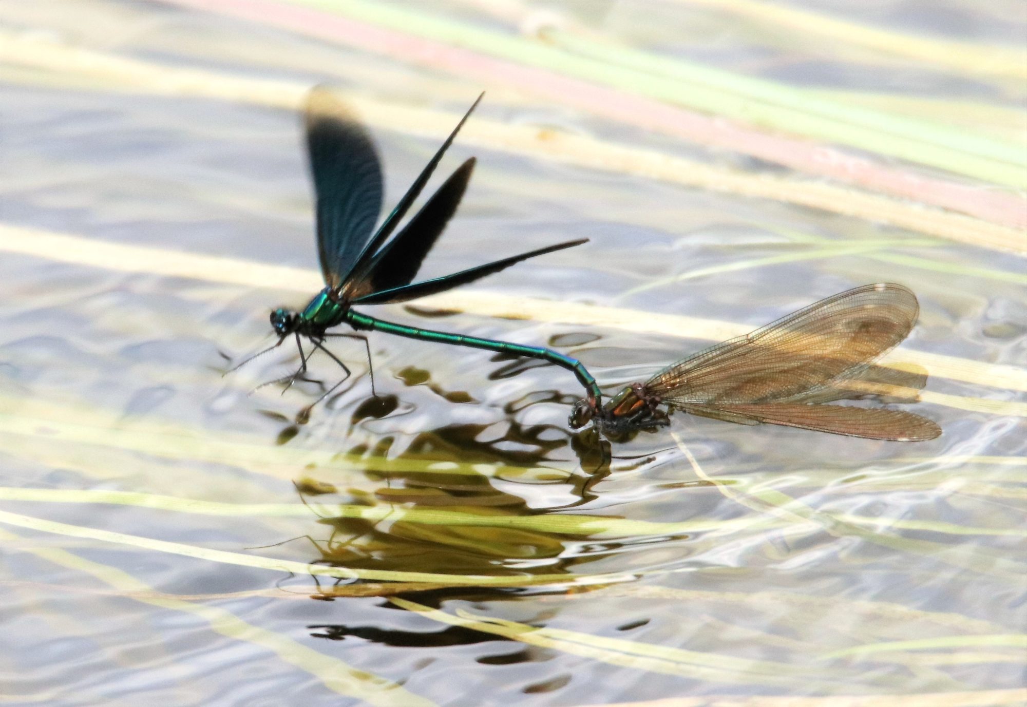 Valokuvaaja: Irja Lehtinen