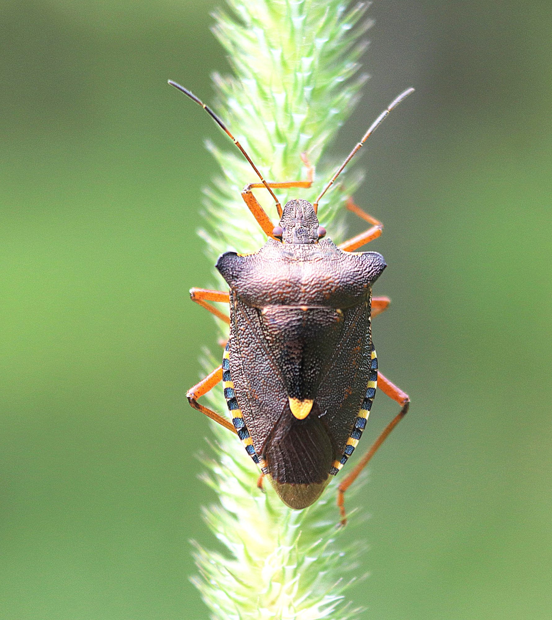 Valokuvaaja: Irja Lehtinen
