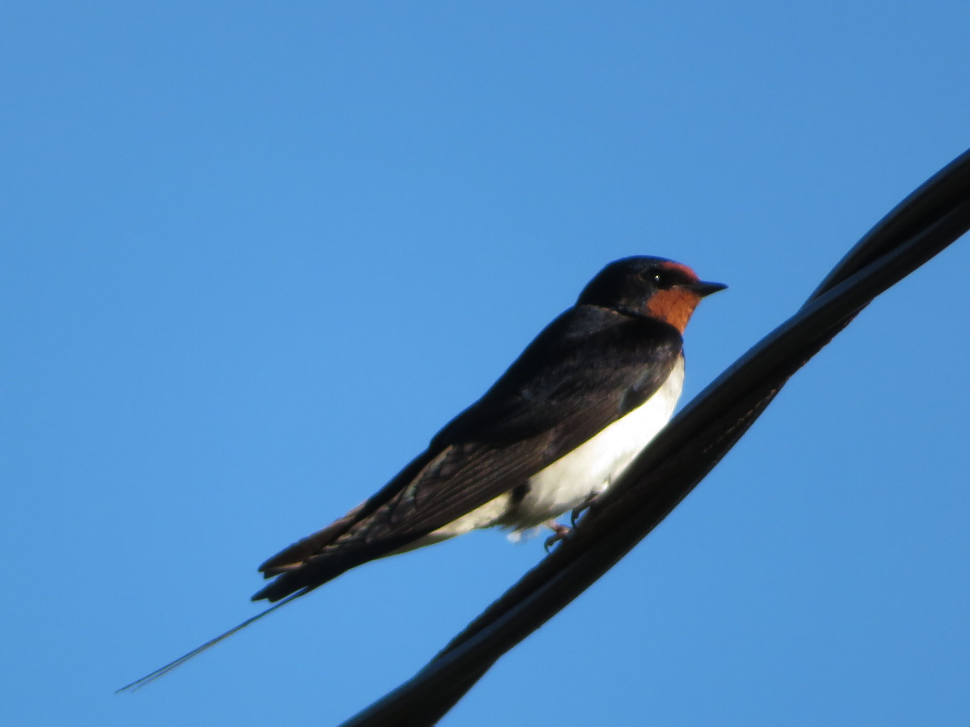 Valokuvaaja: Risto Kangassalo