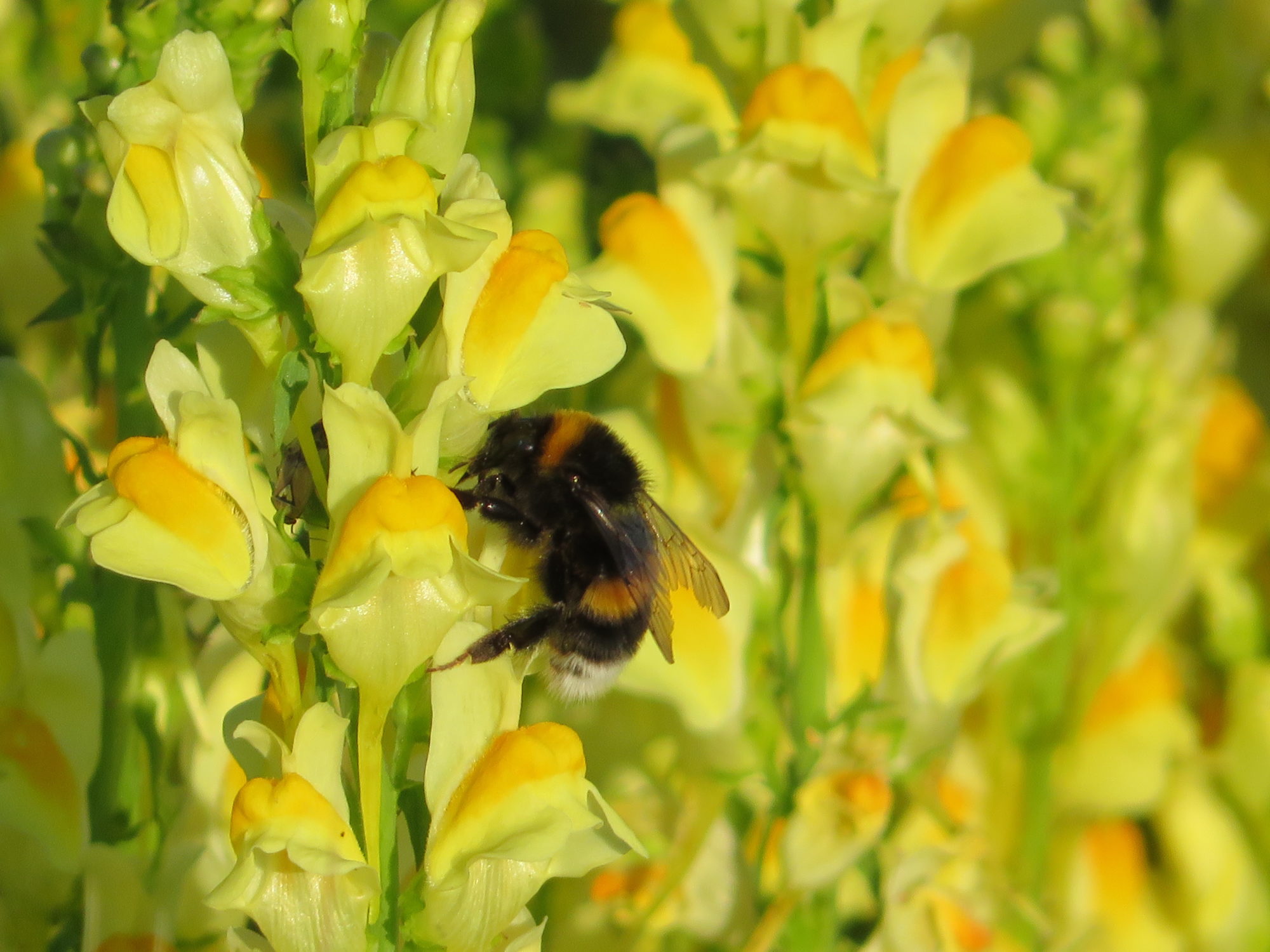 Valokuvaaja: Risto Kangassalo