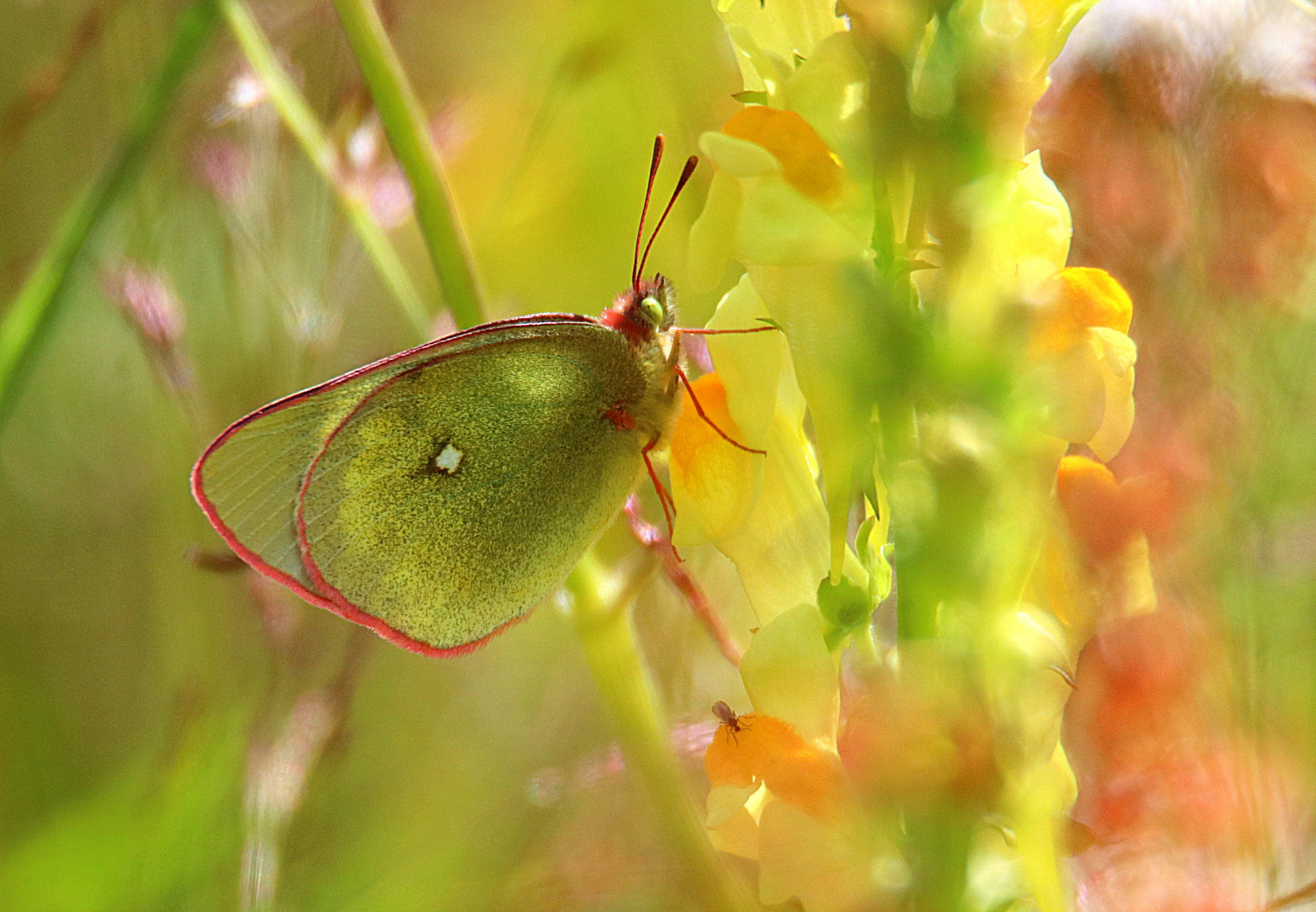 Valokuvaaja: Irja Lehtinen